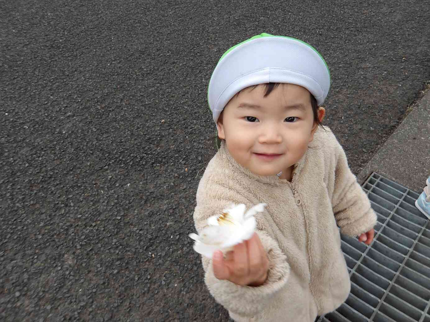 白いツバキを見つけたよ！