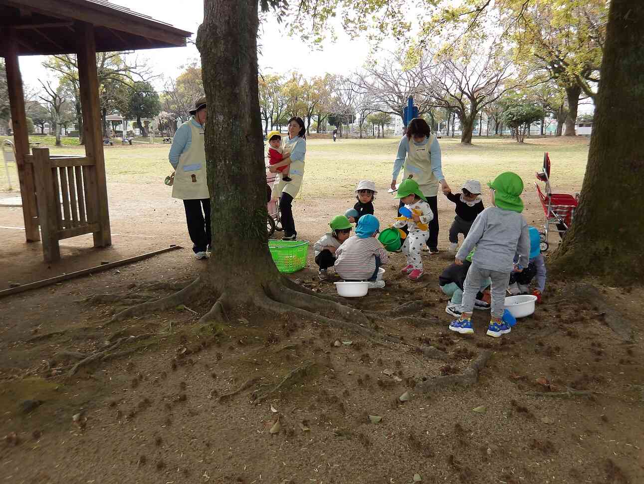 文化の森公園に行ったよ♪