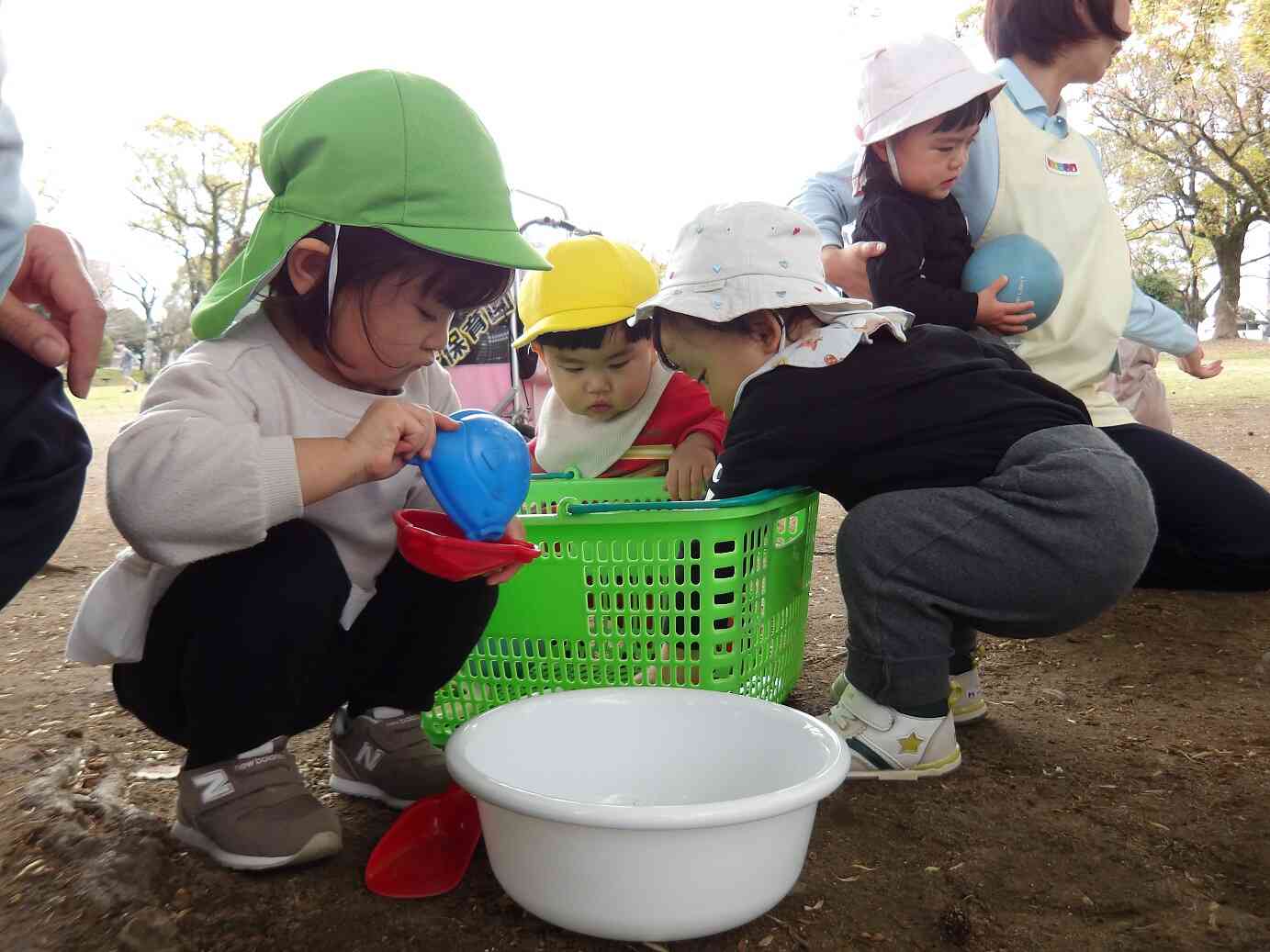 カゴの中から～