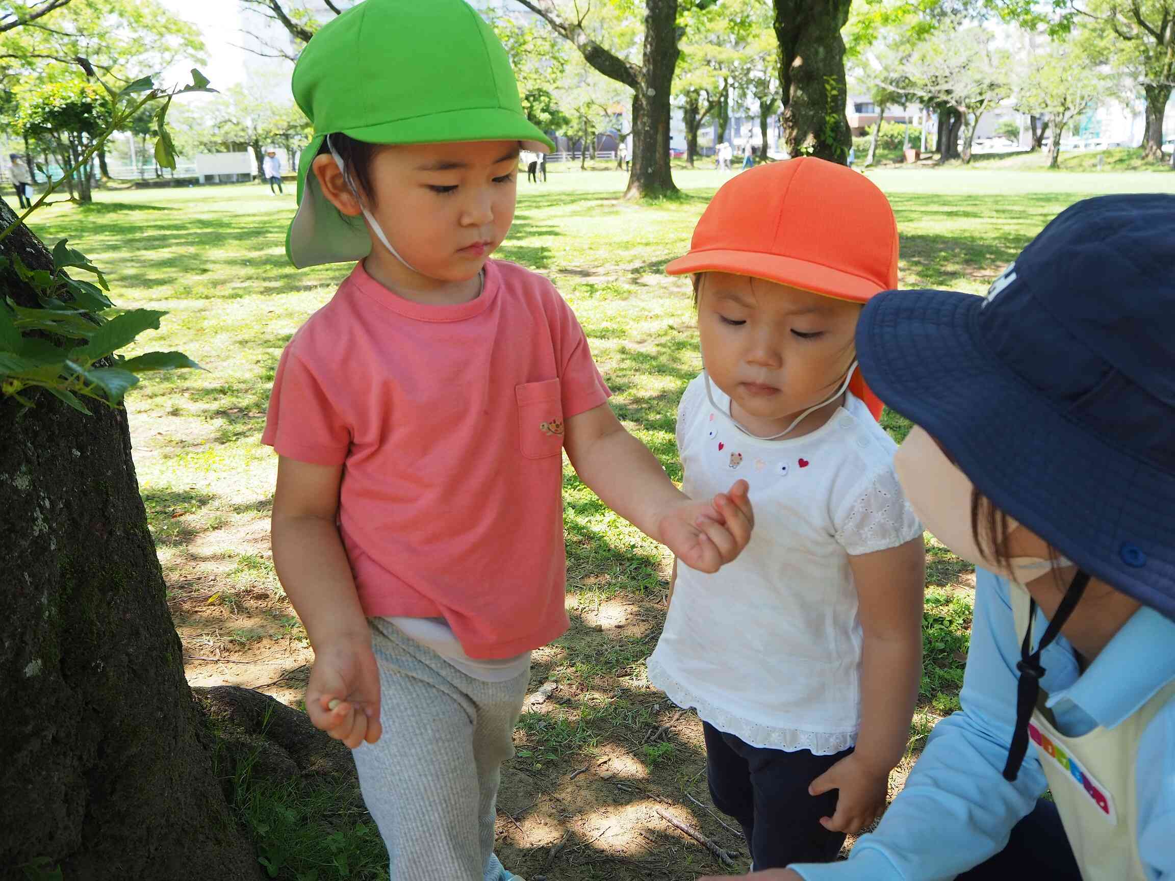木の実見つけたよ！