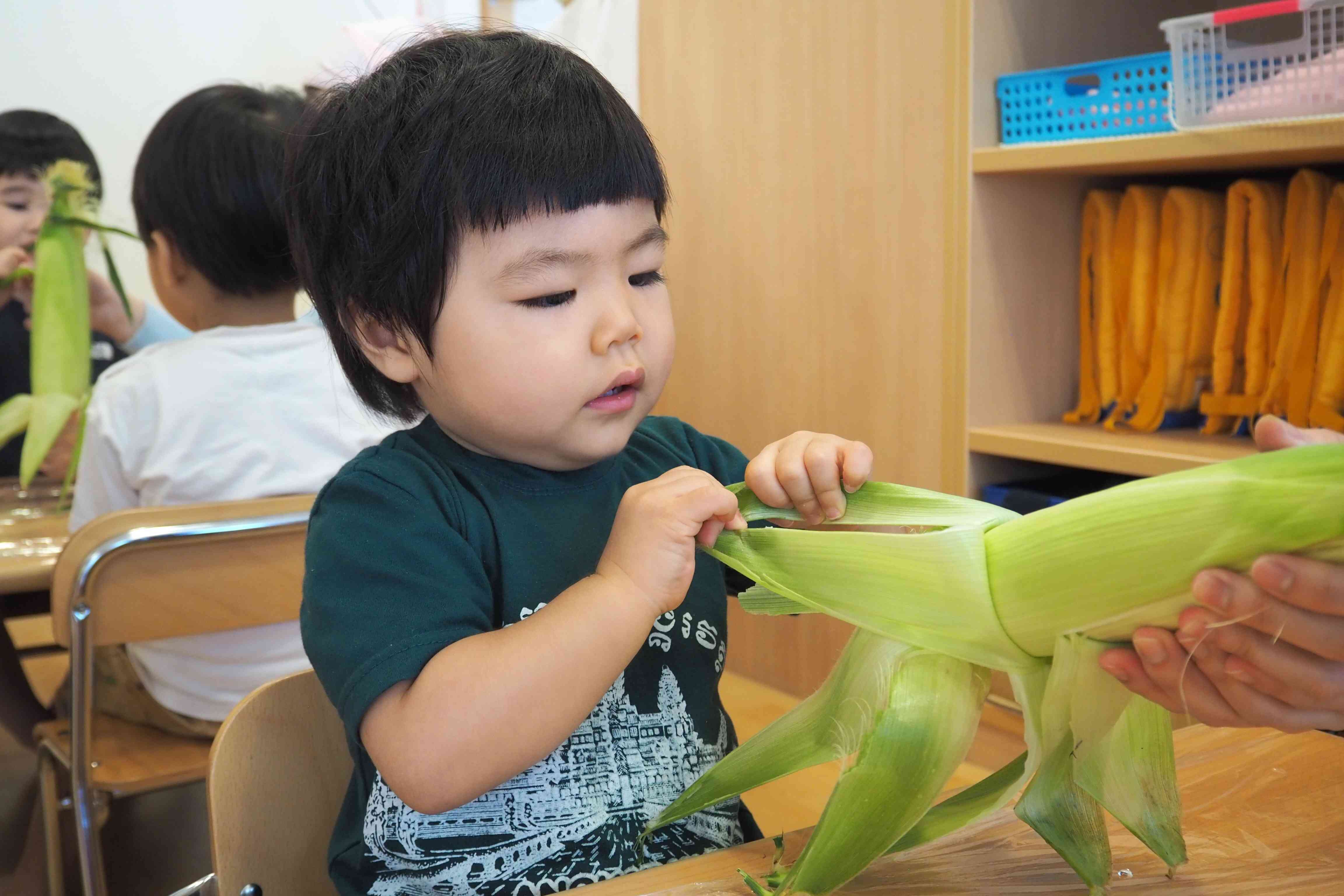 食育トウモロコシの皮むき体験