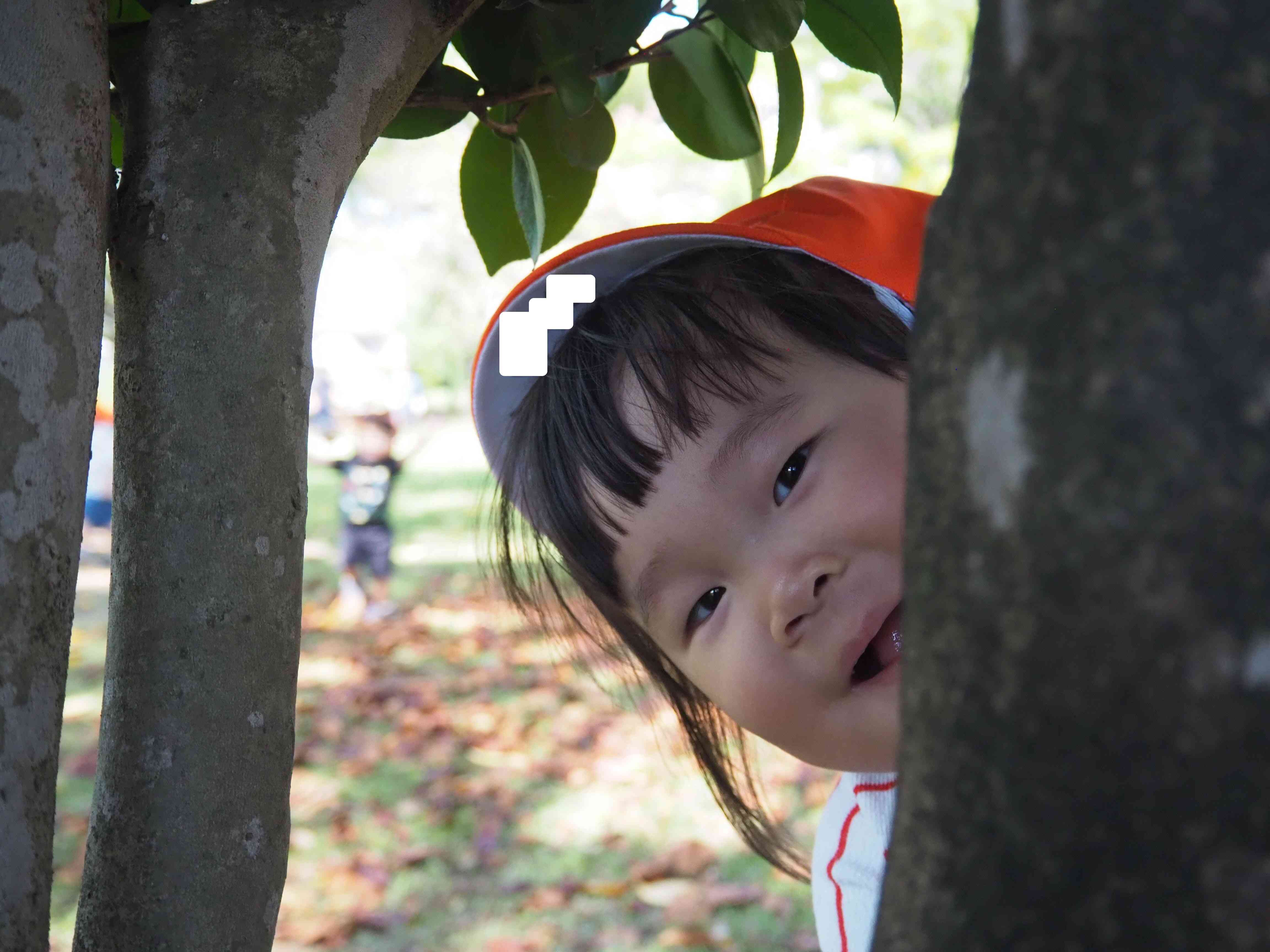 木の陰から・・・チラッ！