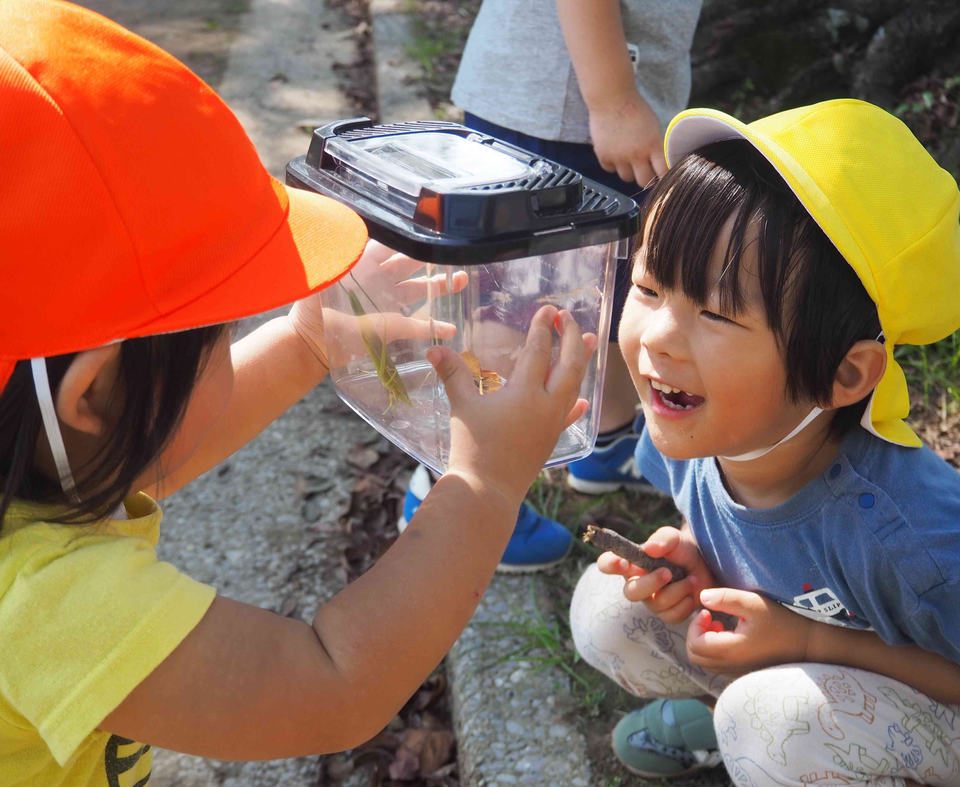 カマキリ見つけたよ！