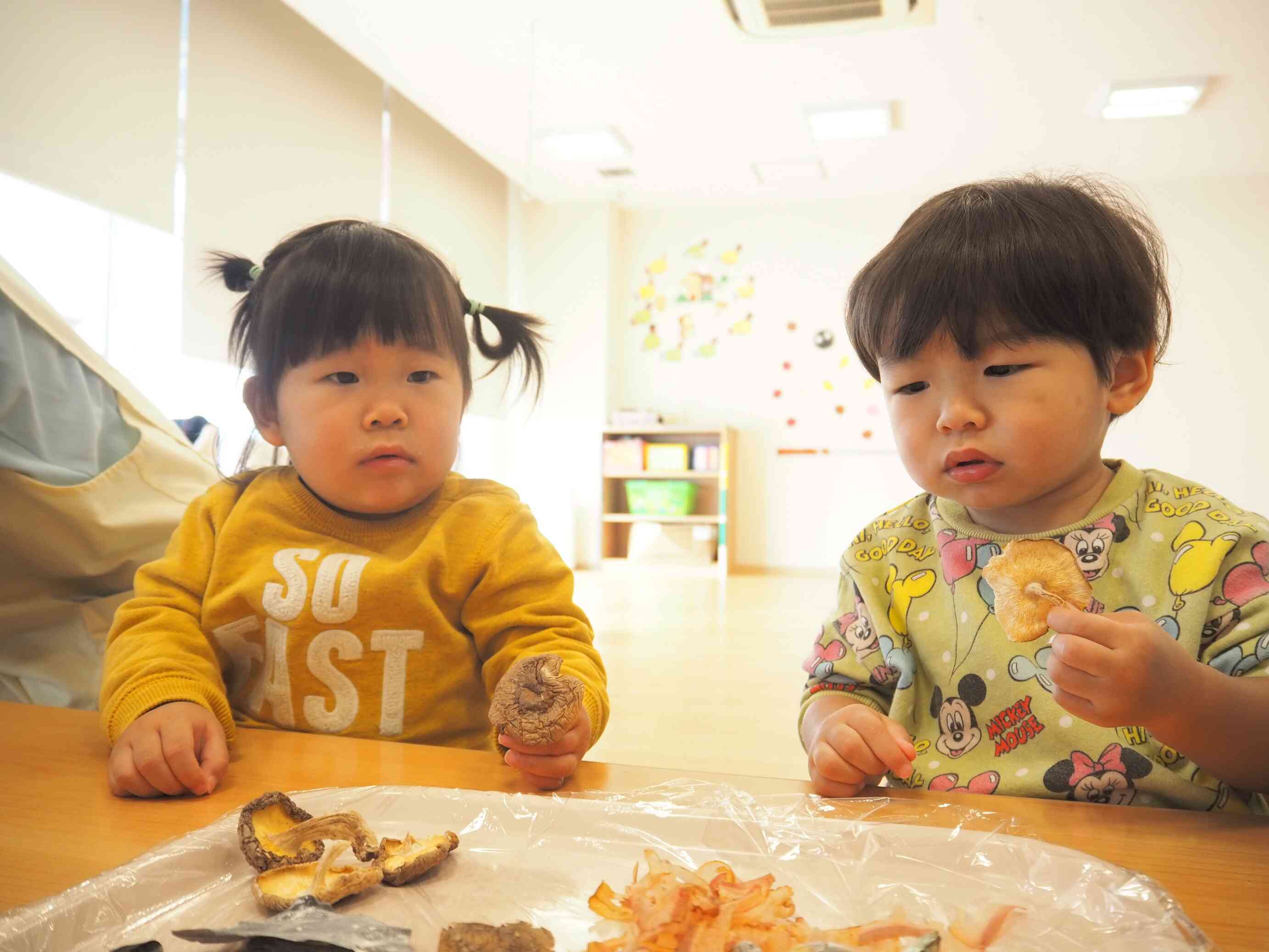 食育「だしについて知ろう」