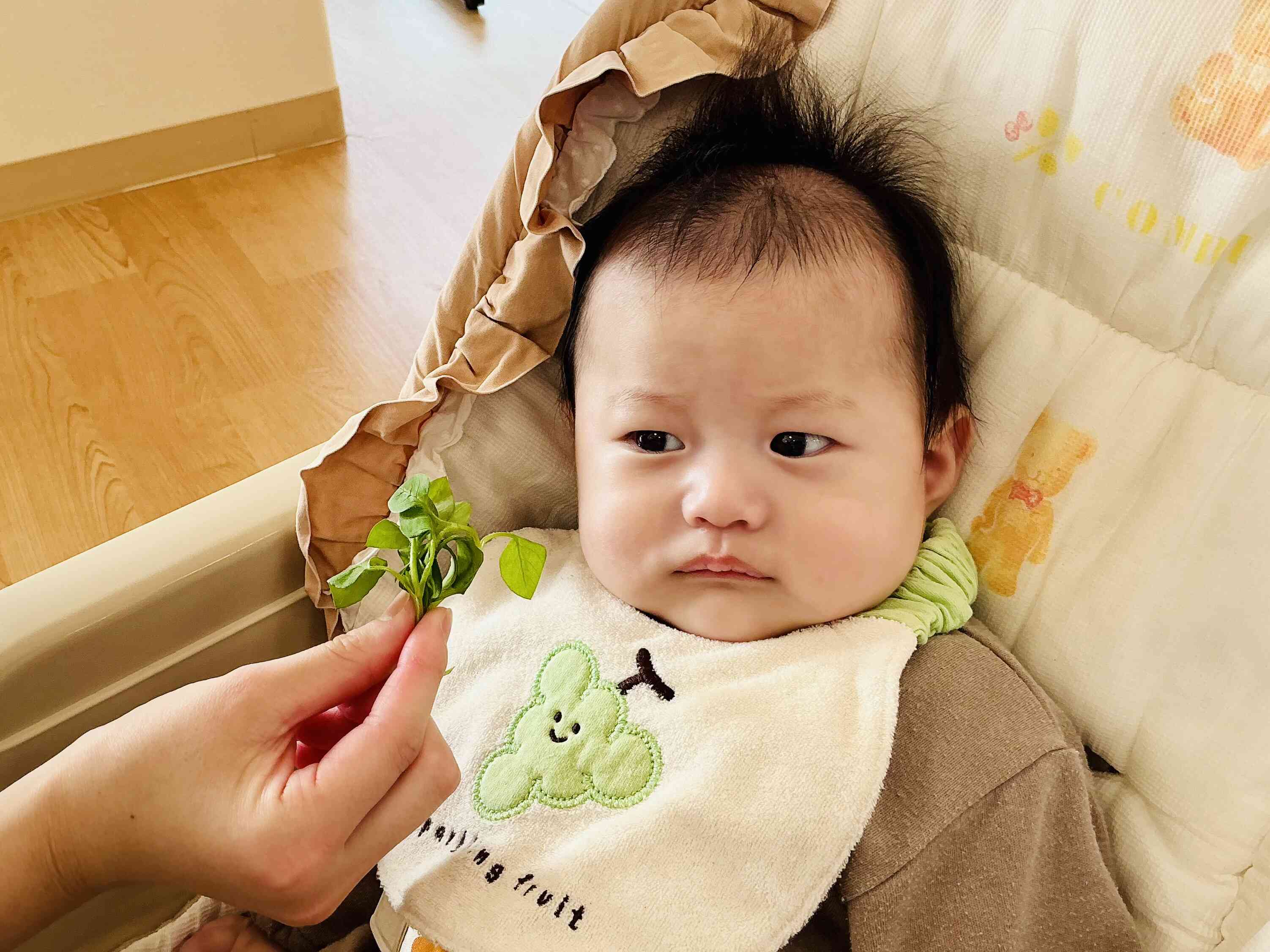 どんな形かな？