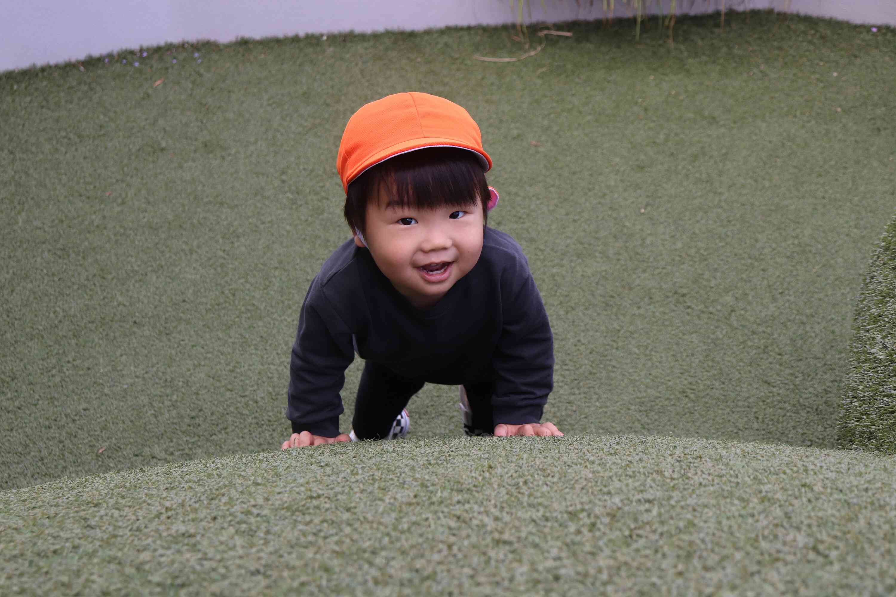 山登りに挑戦！