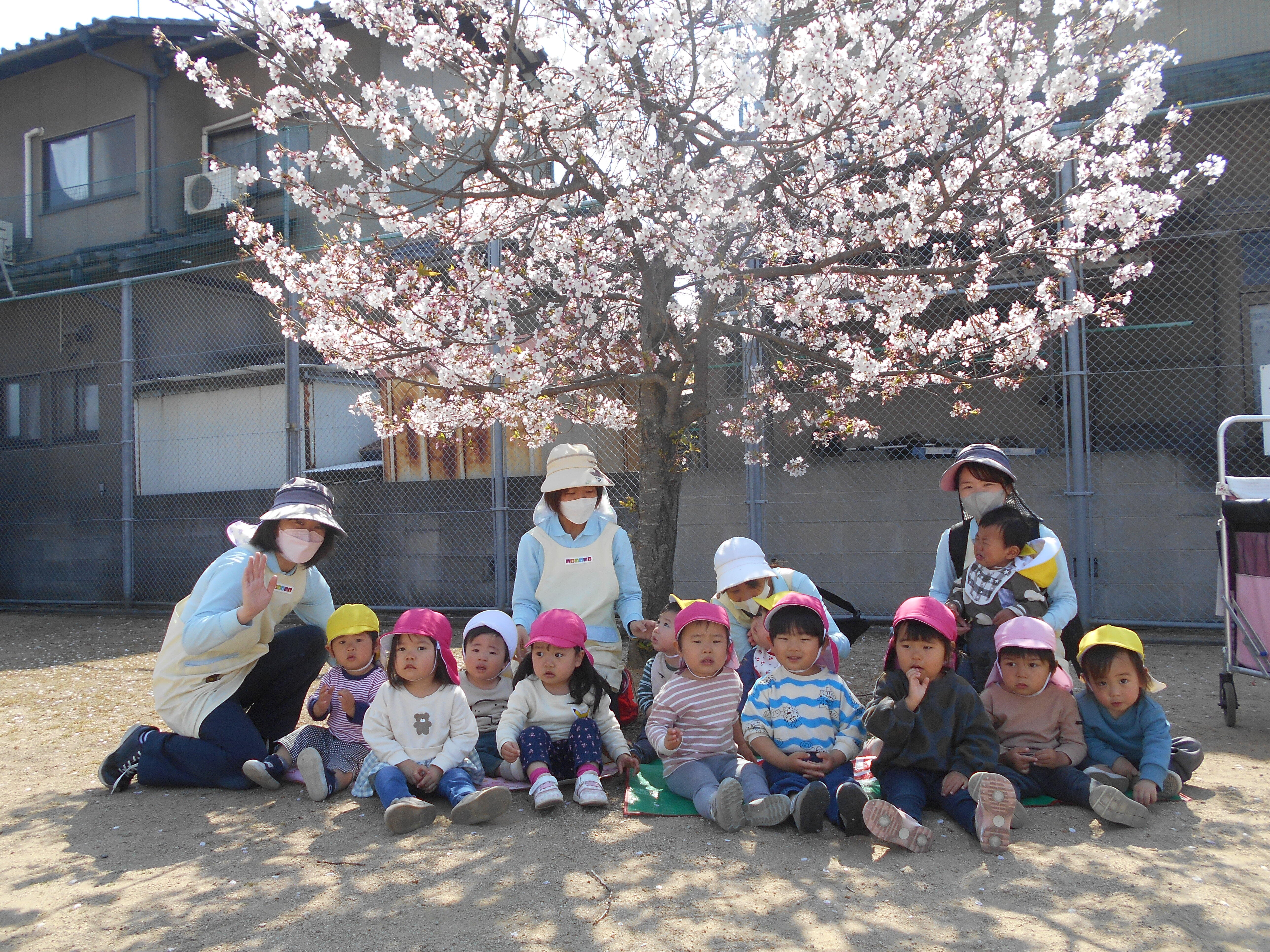 隣の公園でお花見