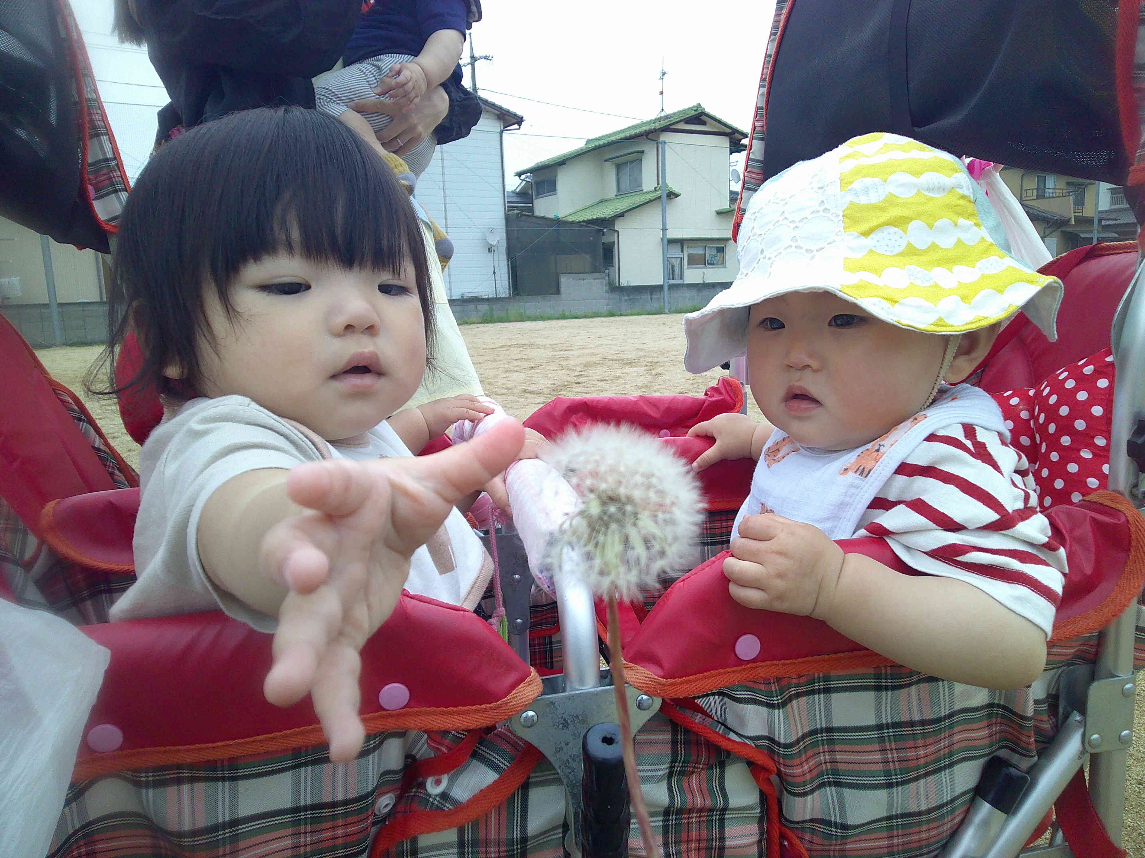 私にも触らせて～