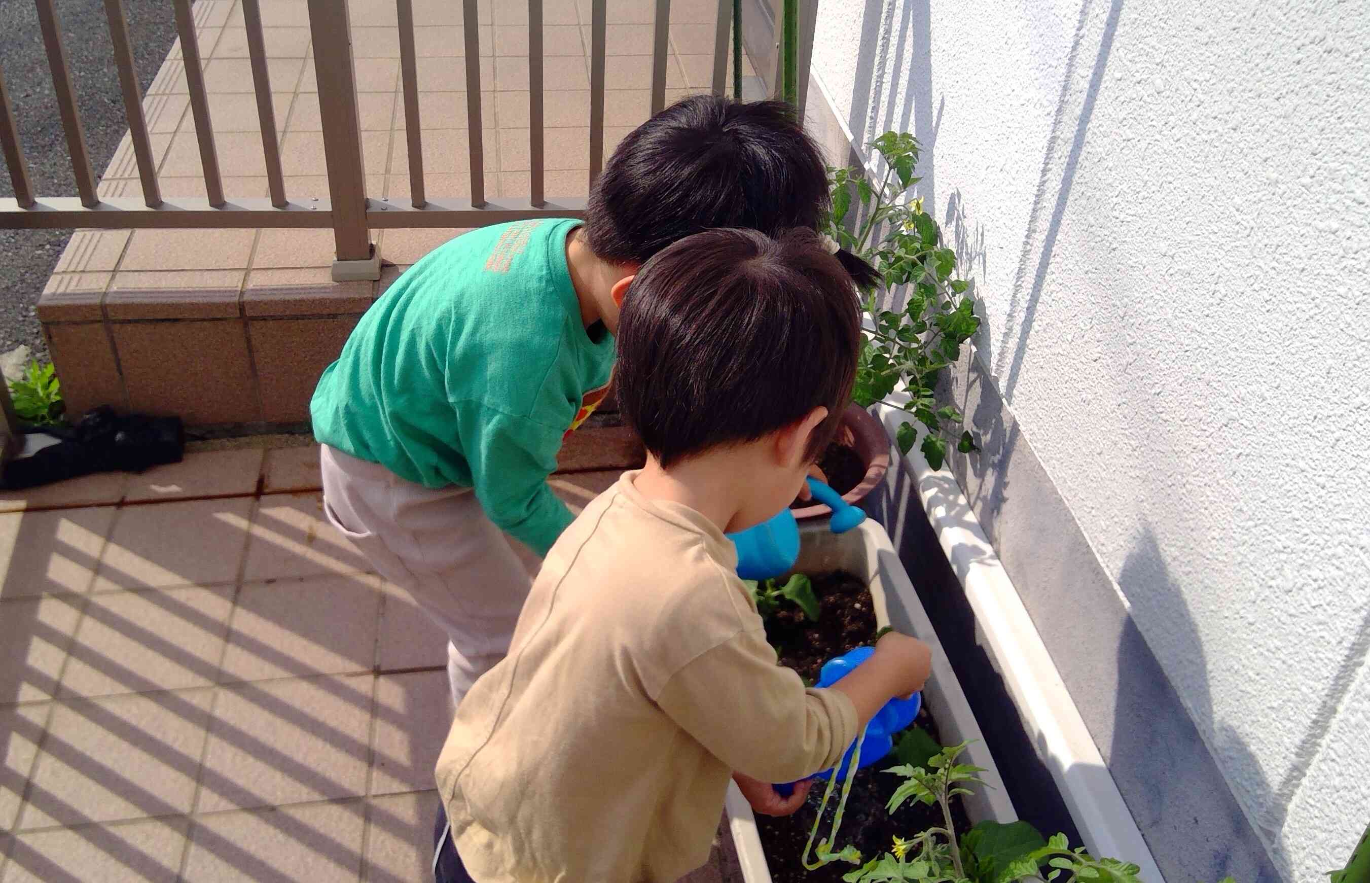 一生懸命に頑張っているよ。