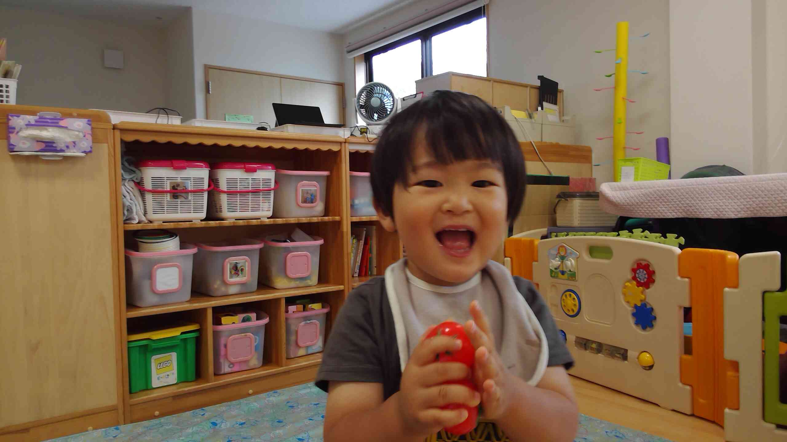 トマトーおいしそうでしょ！