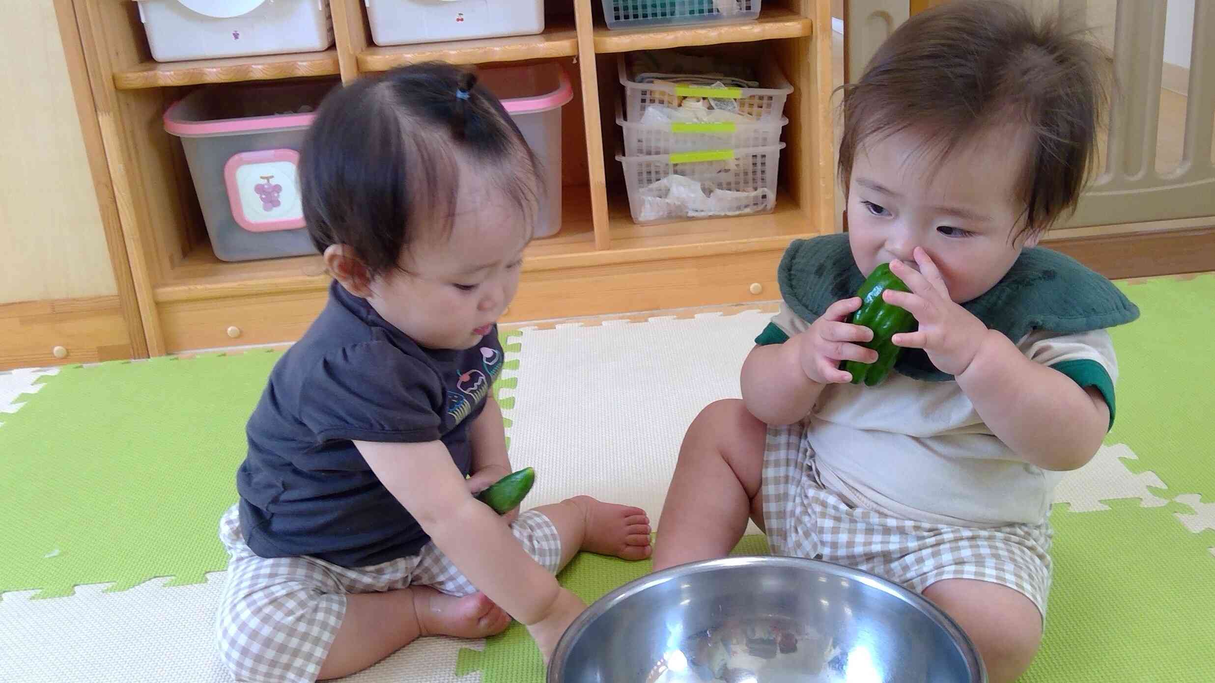 夏野菜に触れてみたよ！