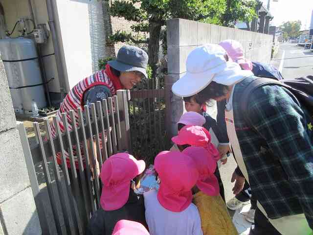 お野菜をいつも見せてくれてありがとう