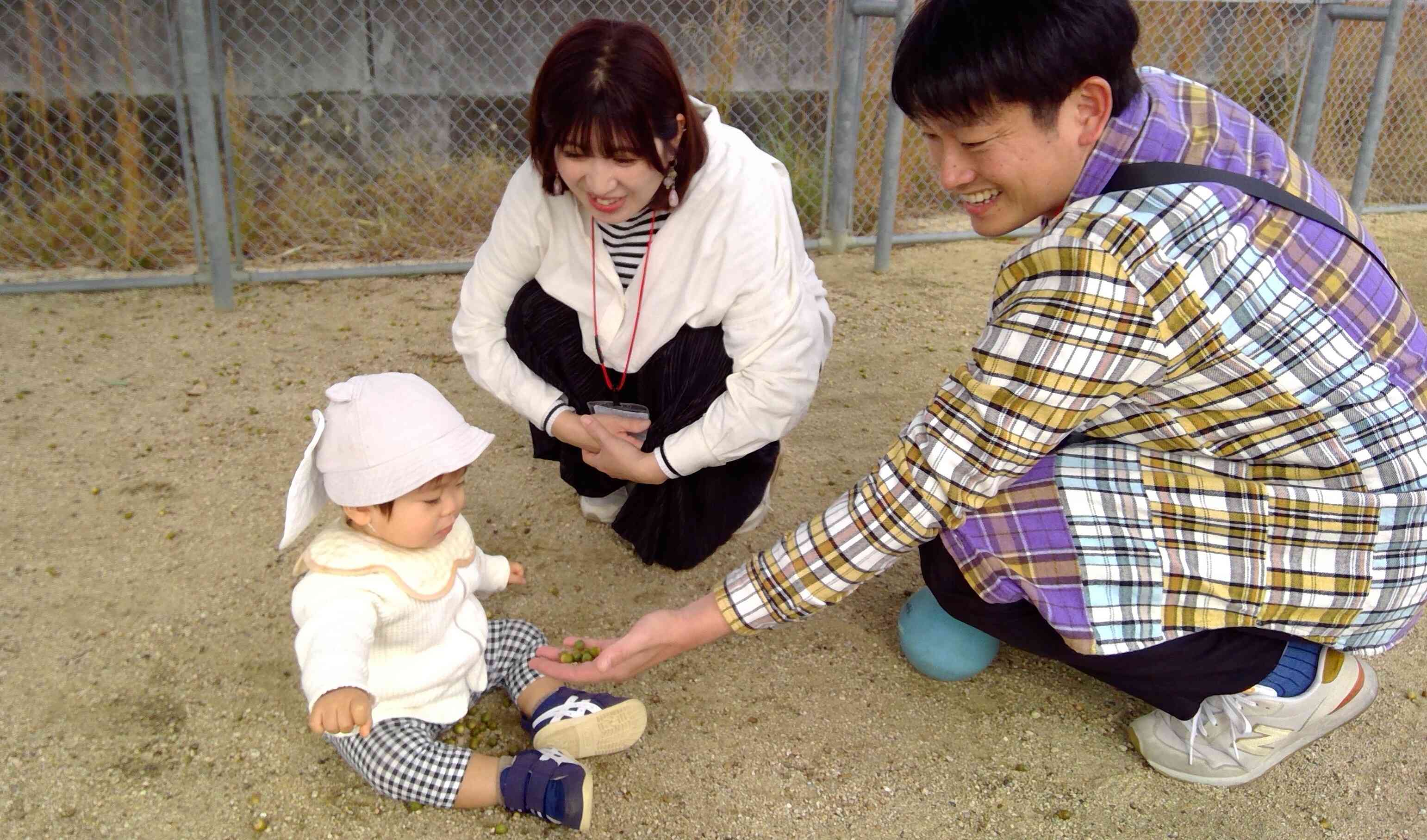 ドングリいっぱいあったよ!