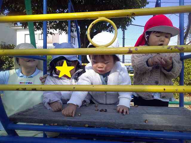 どんぐりみーつけた