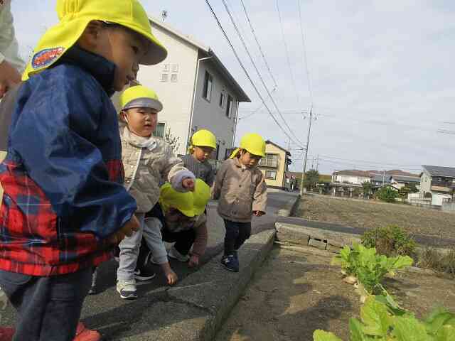 お野菜みーつけた！