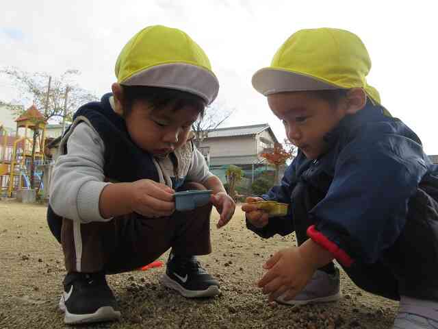 仲良く遊んでるね！