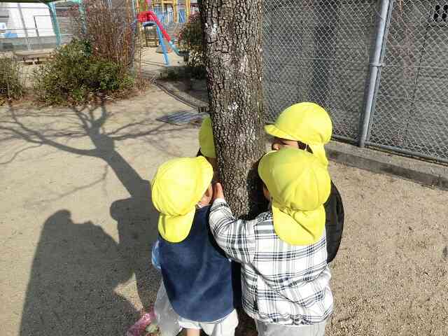 もういいかーい、もういいよー