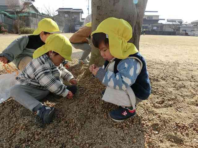 砂とドングリでも遊んじゃう