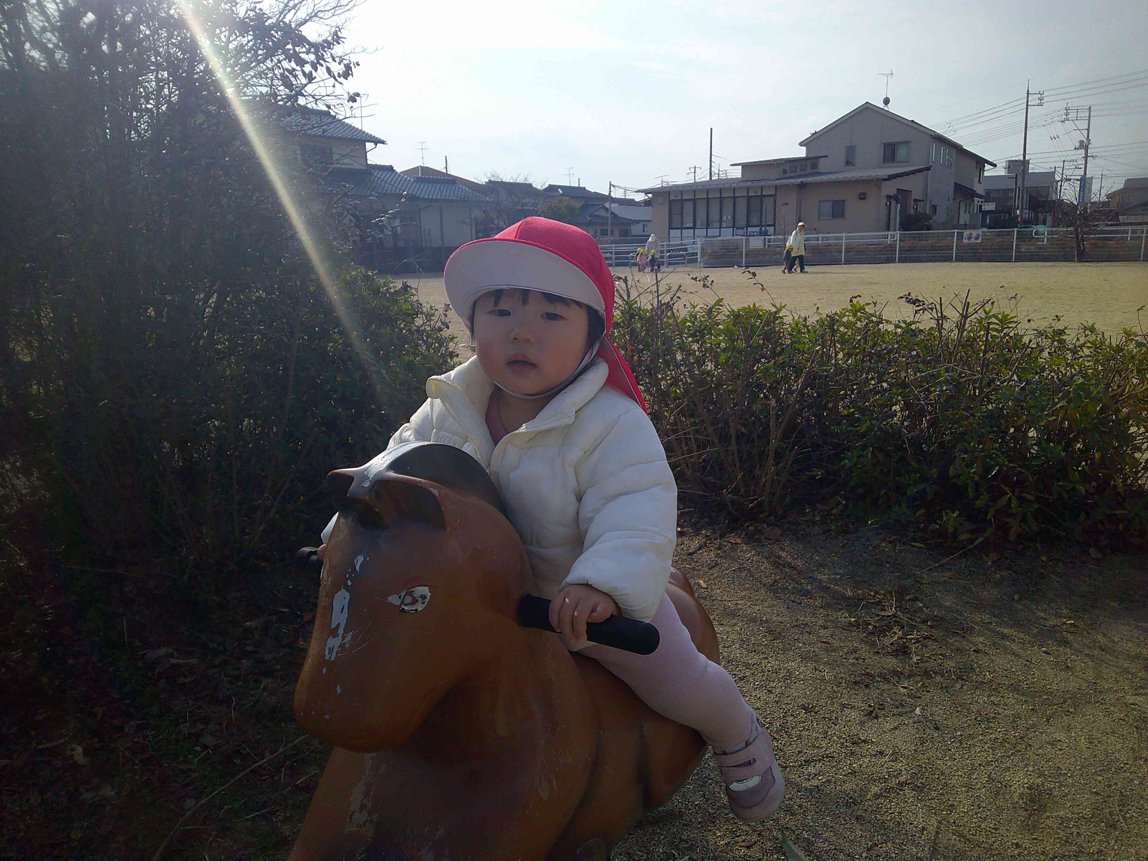 今年は午年！お馬さんにも乗ったよ。