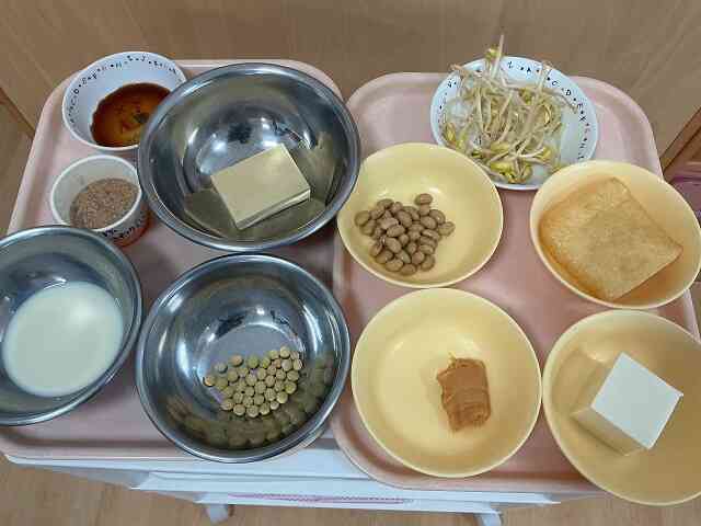 見たことあるよ