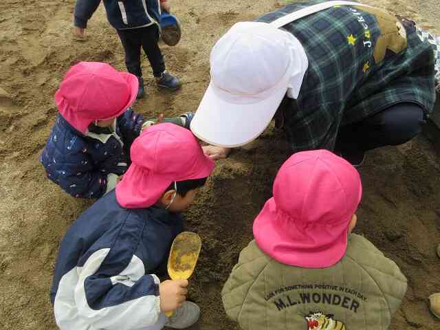 大きなお山の次は、、、