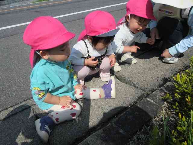 カタツムリがいたね