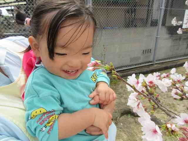 今週はお花見ができるかな？