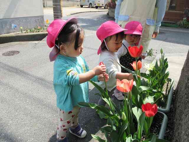 春、見ーつけた♪（新あひる組 1歳児）