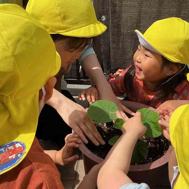 おおきくなあれ