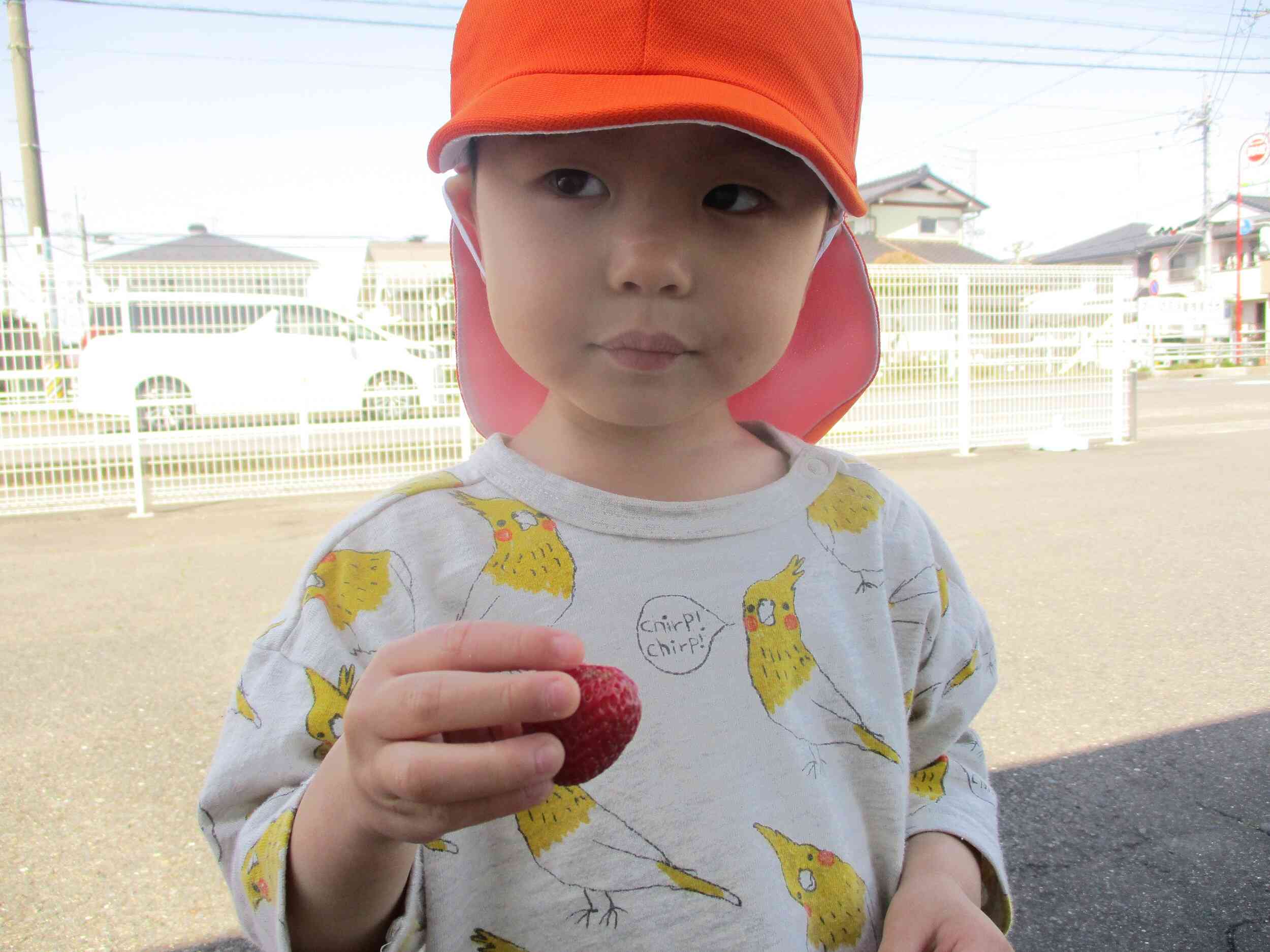 たべてもいいの？