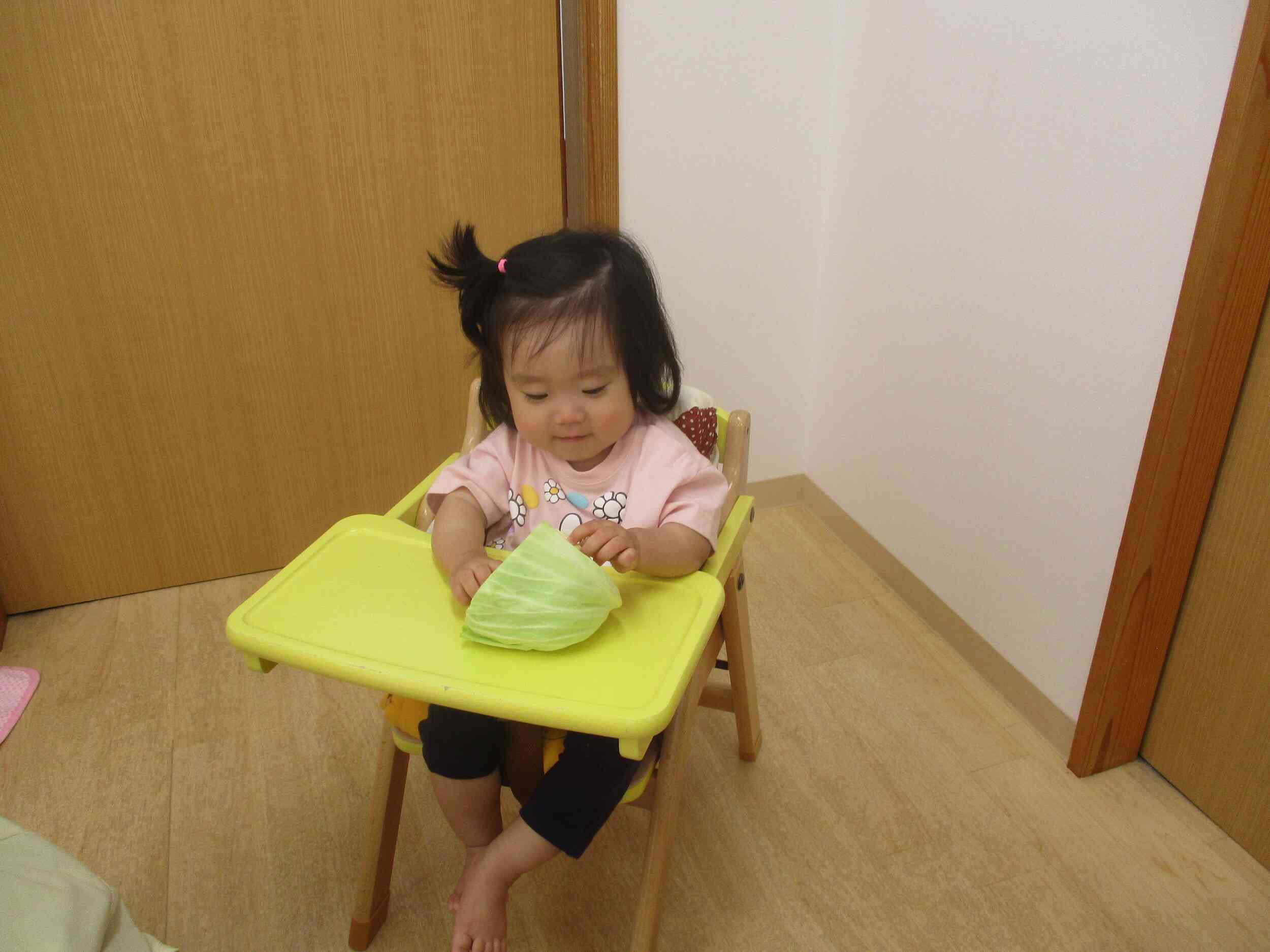 これがきゃべつ～？