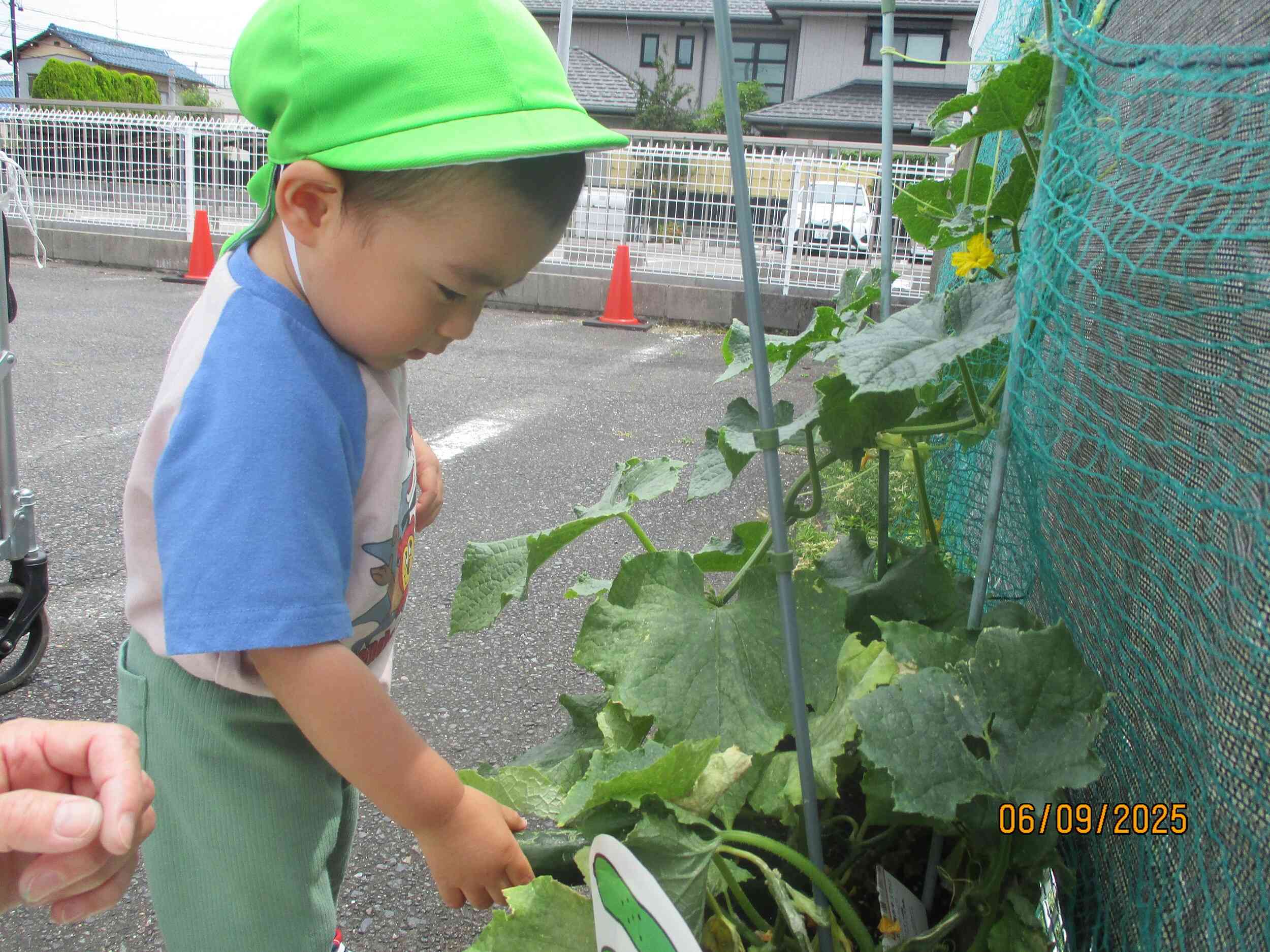戸外遊び。