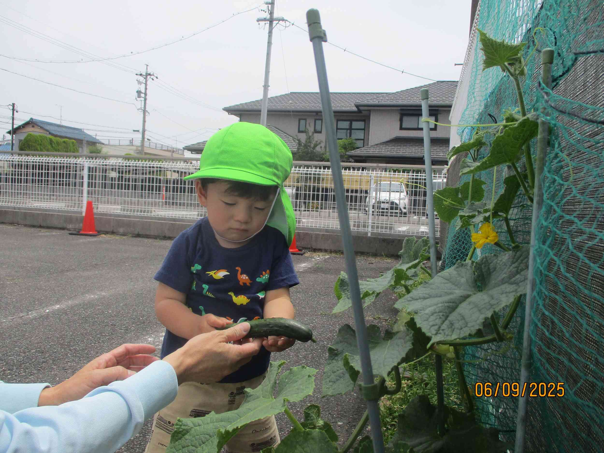 何かチクチクするよ。