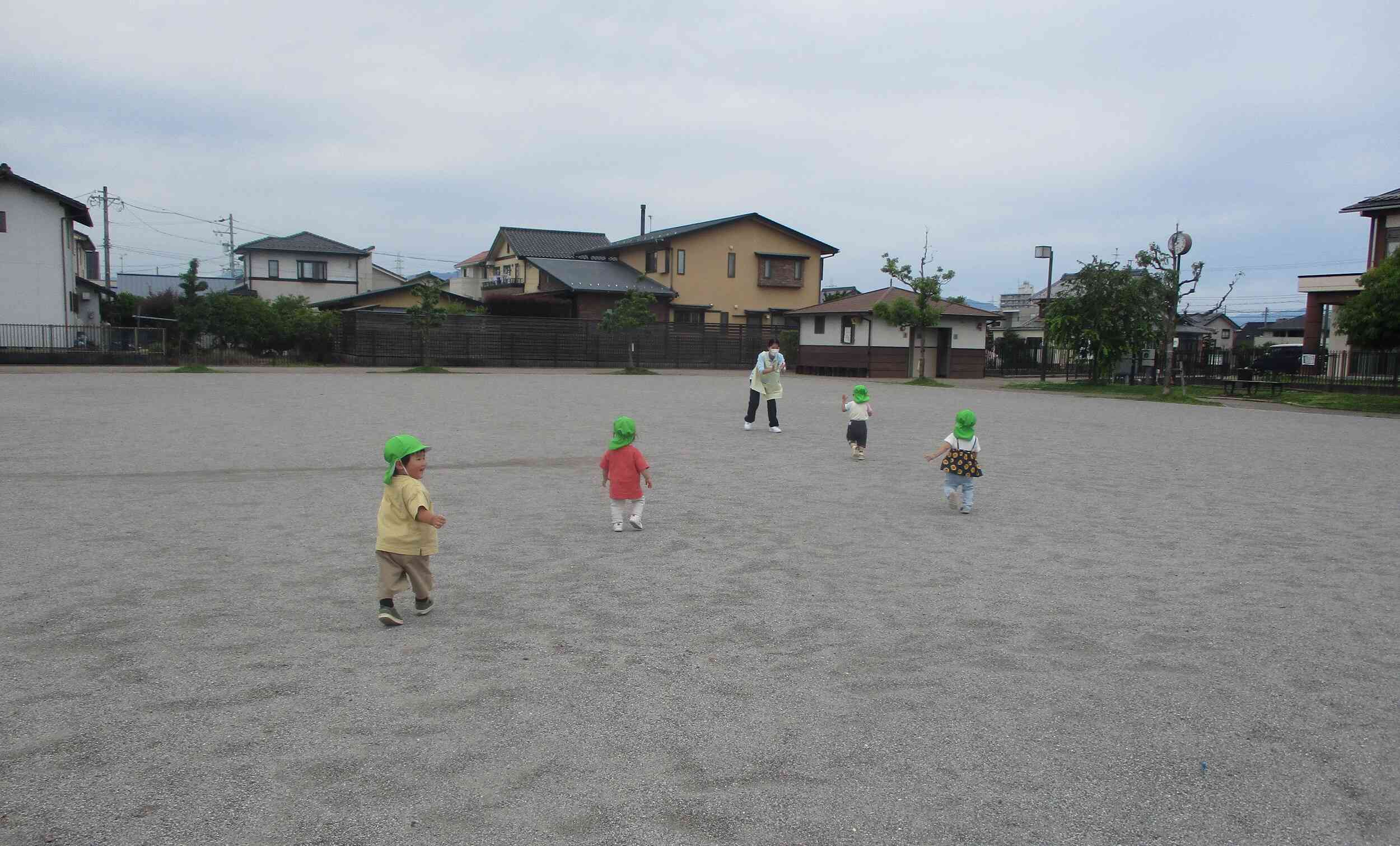 「おいでおいで～」