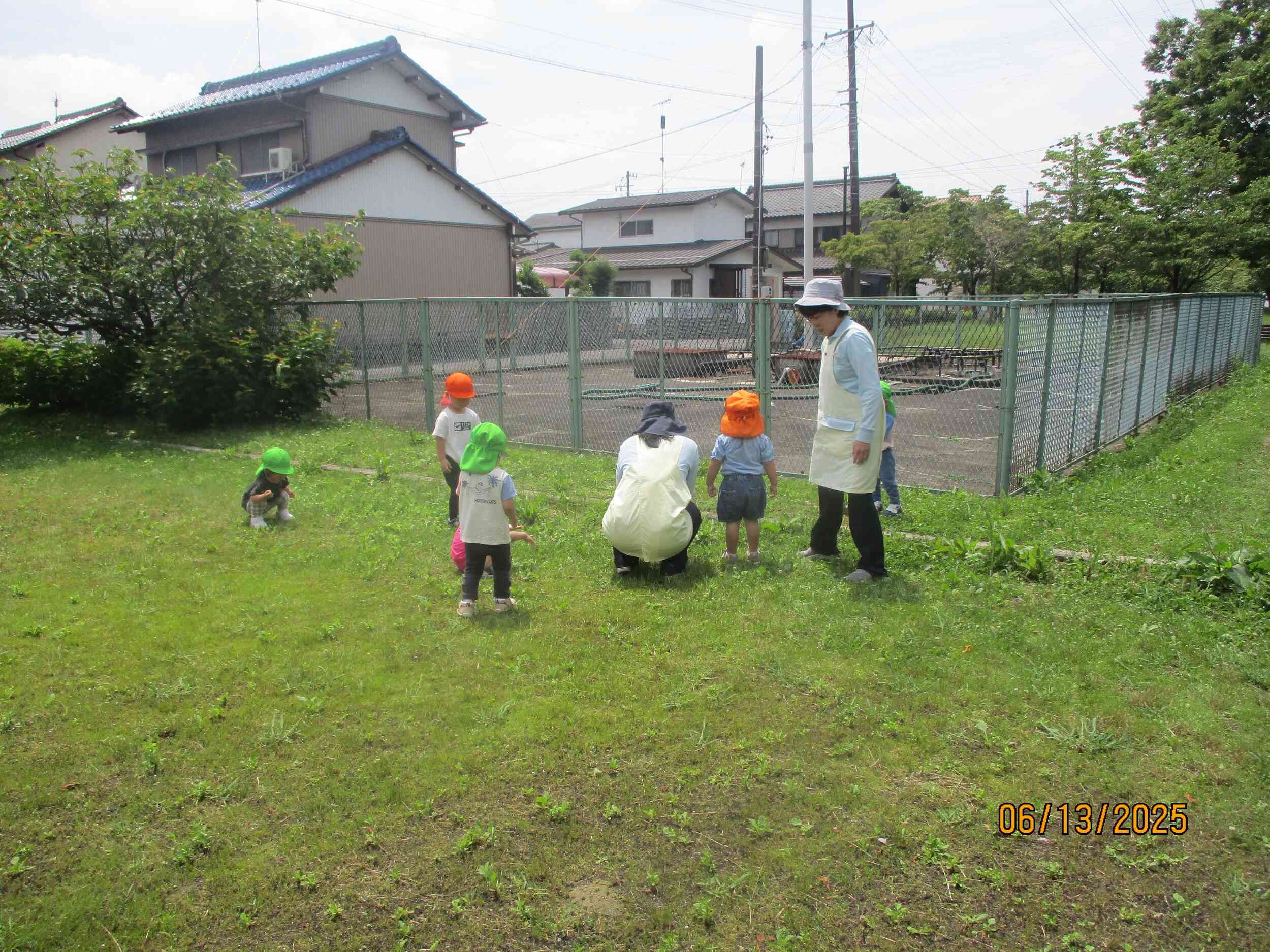 虫探し。