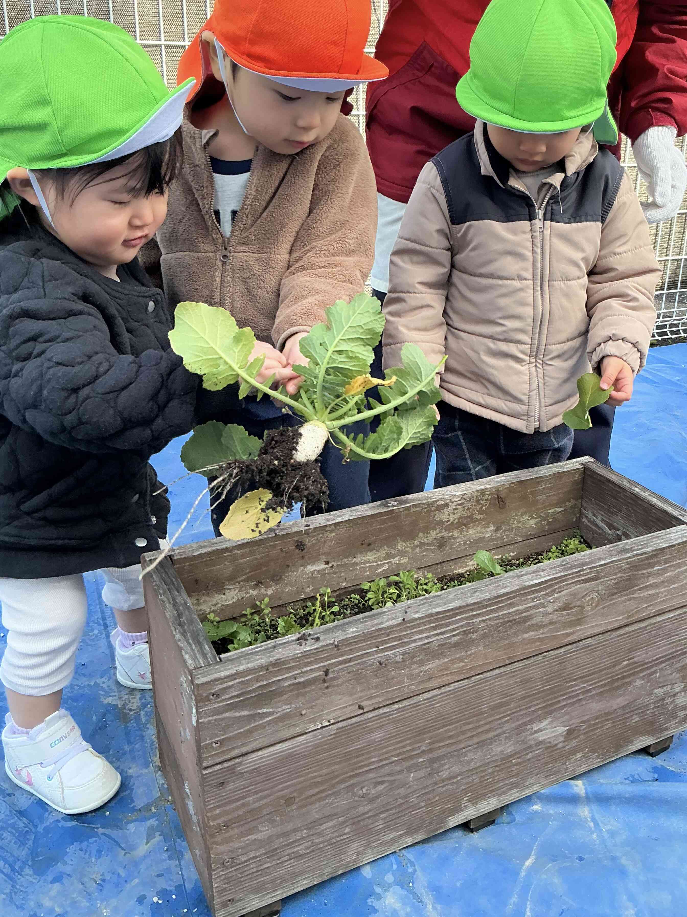 力を合わせて！