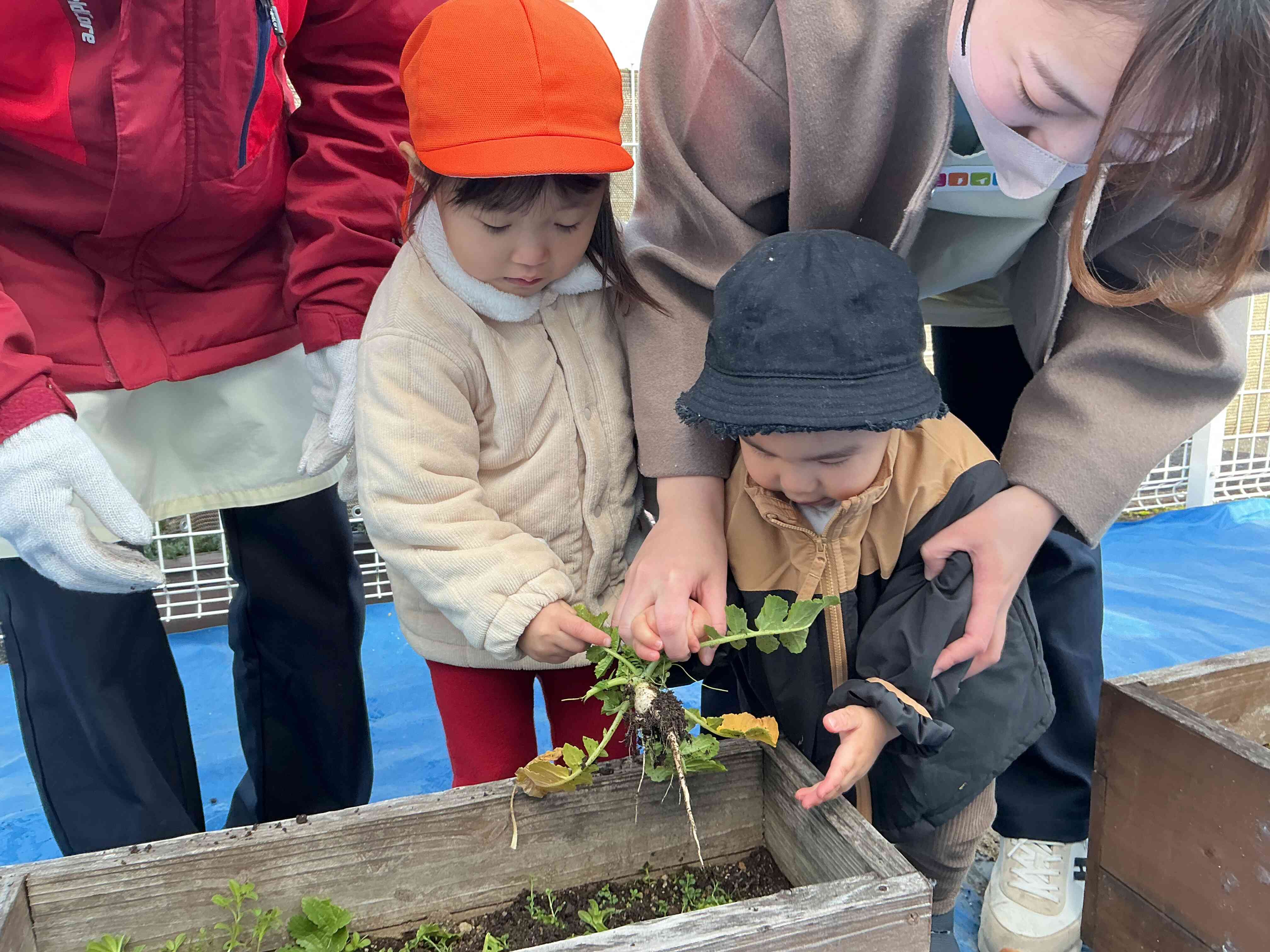 先生と一緒に！