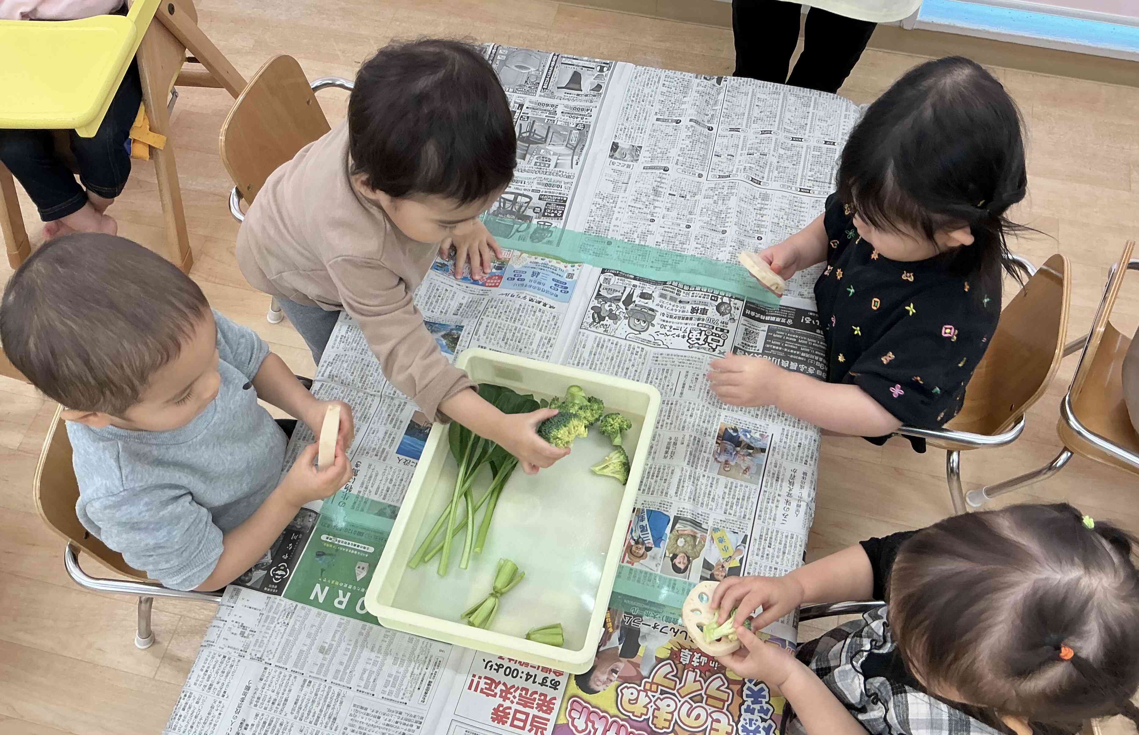 レンコンってこんな形なんだ