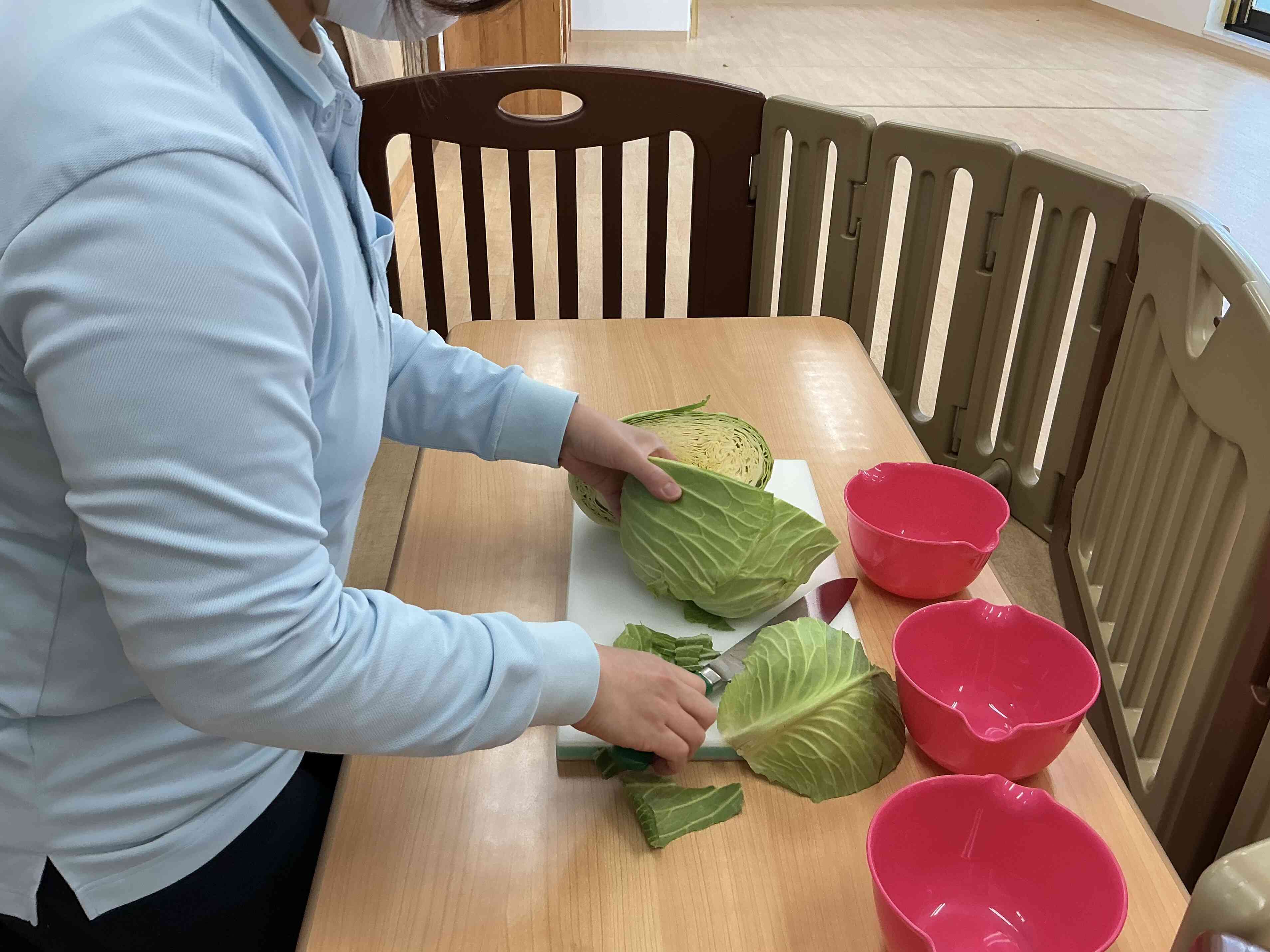 食育活動 キャベツ