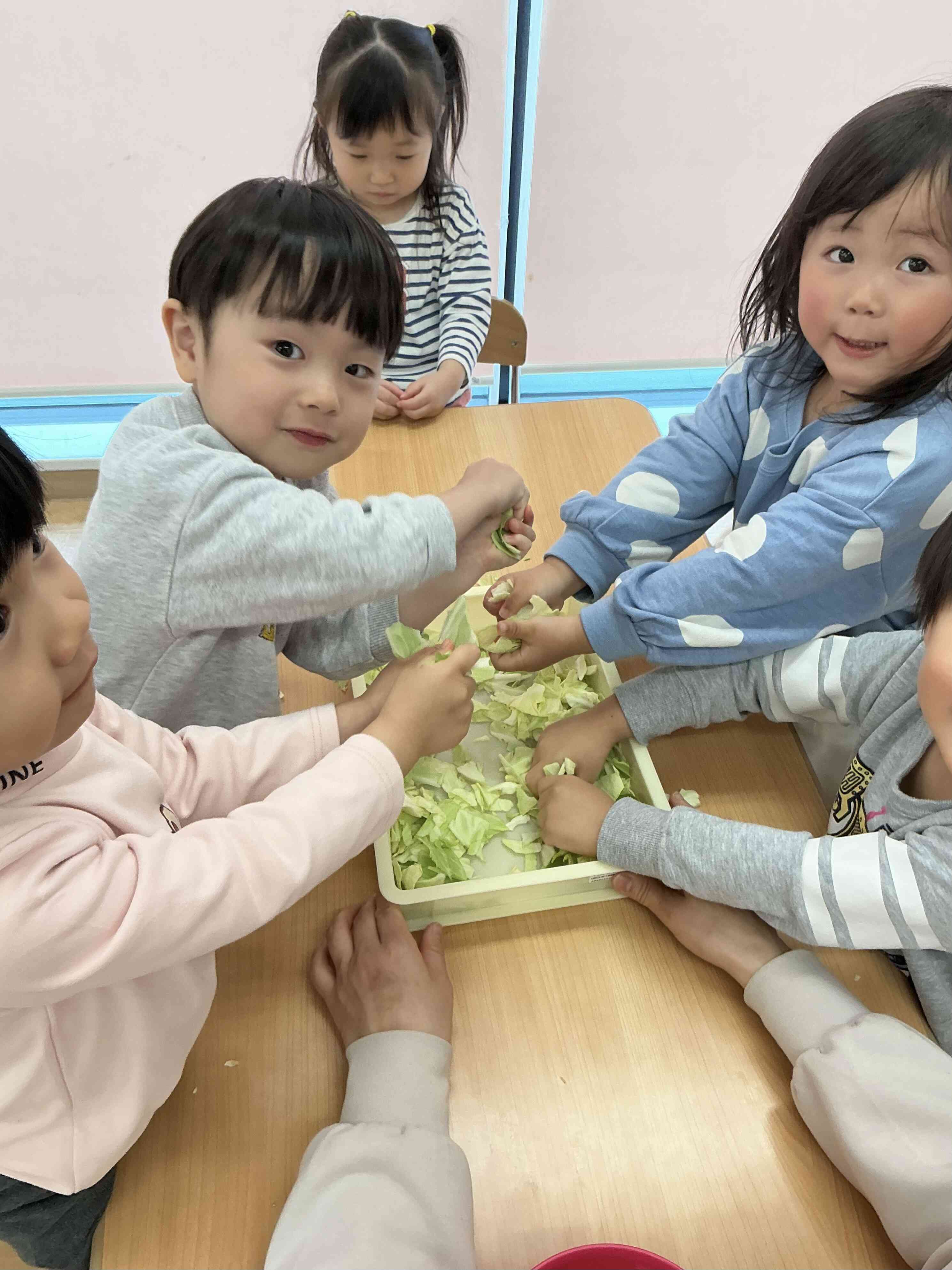 いっぱいキャベツをちぎったよ‼︎