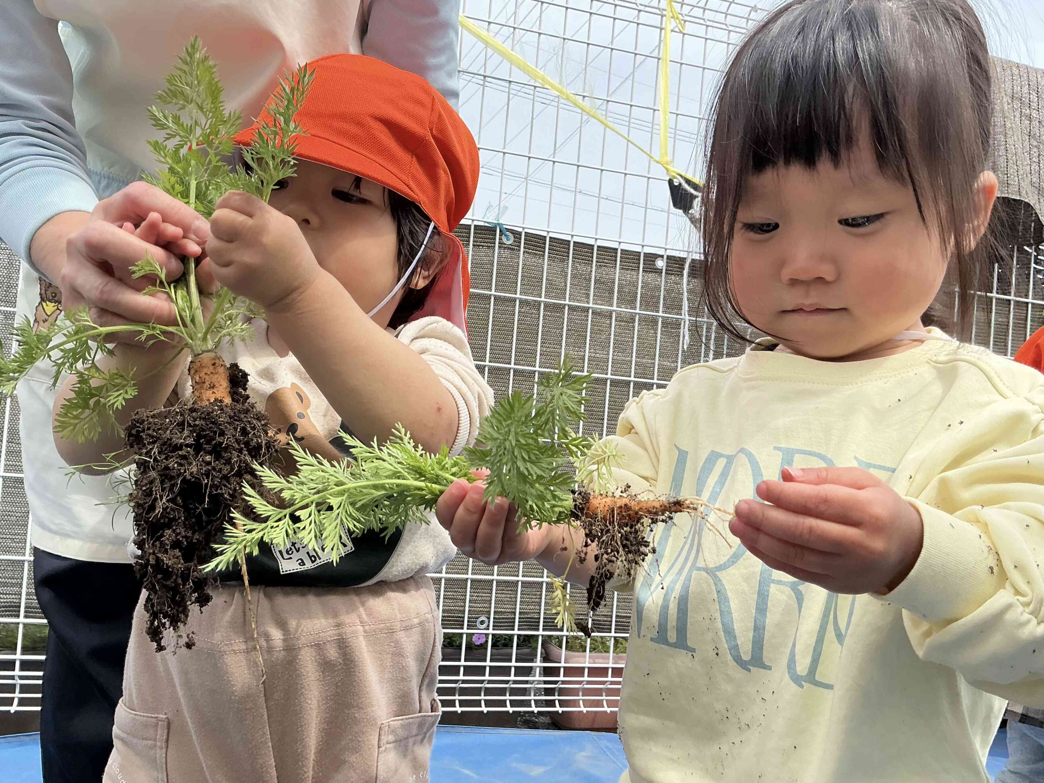 僕も私も、人参とれたよ‼︎