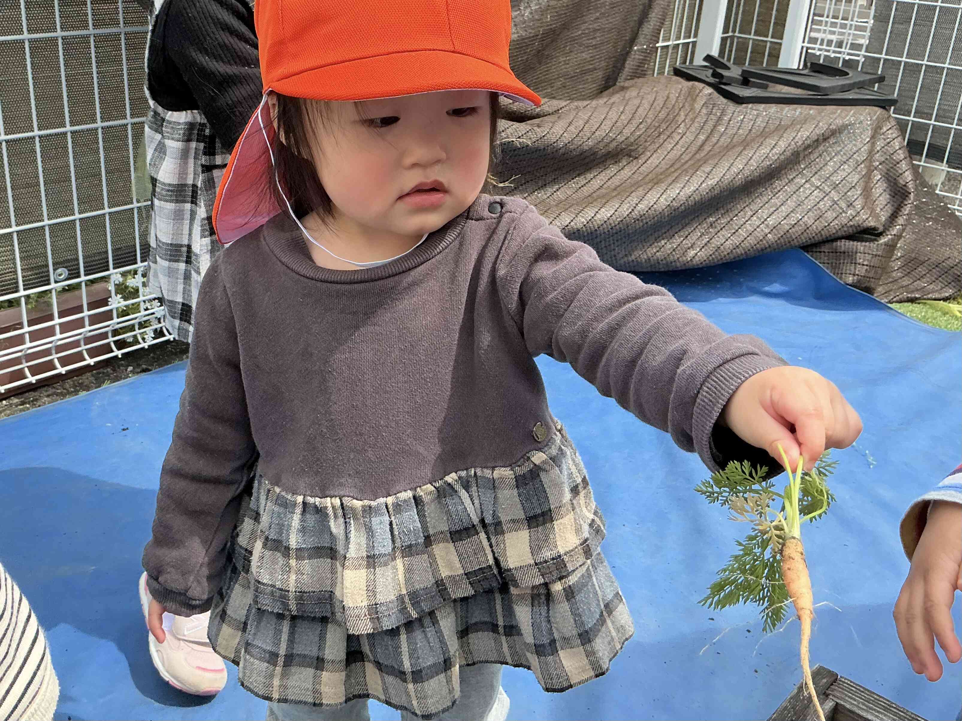 「見て見て‼︎」「かわいい人参でしょう」