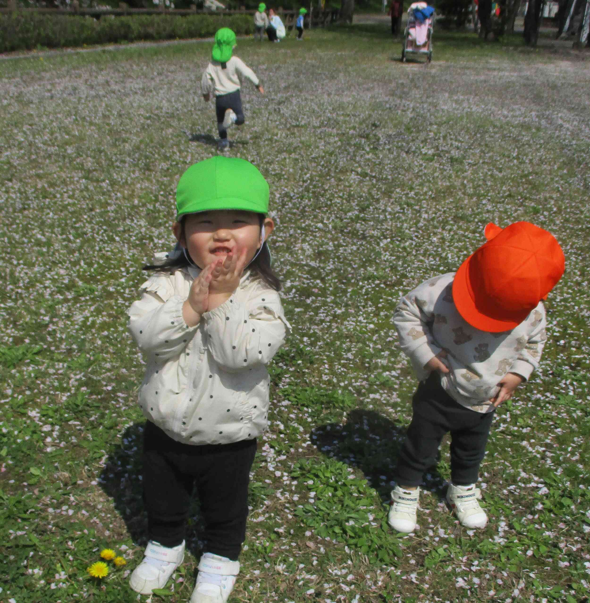 タンポポいっぱい～