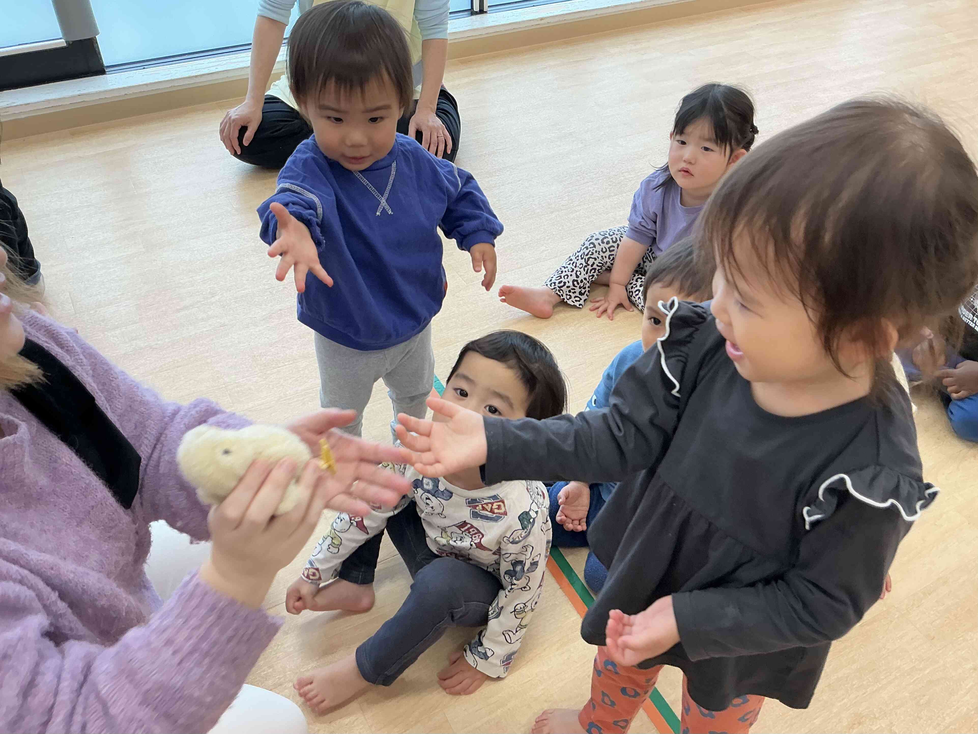 「ひよこかわいい‼︎」