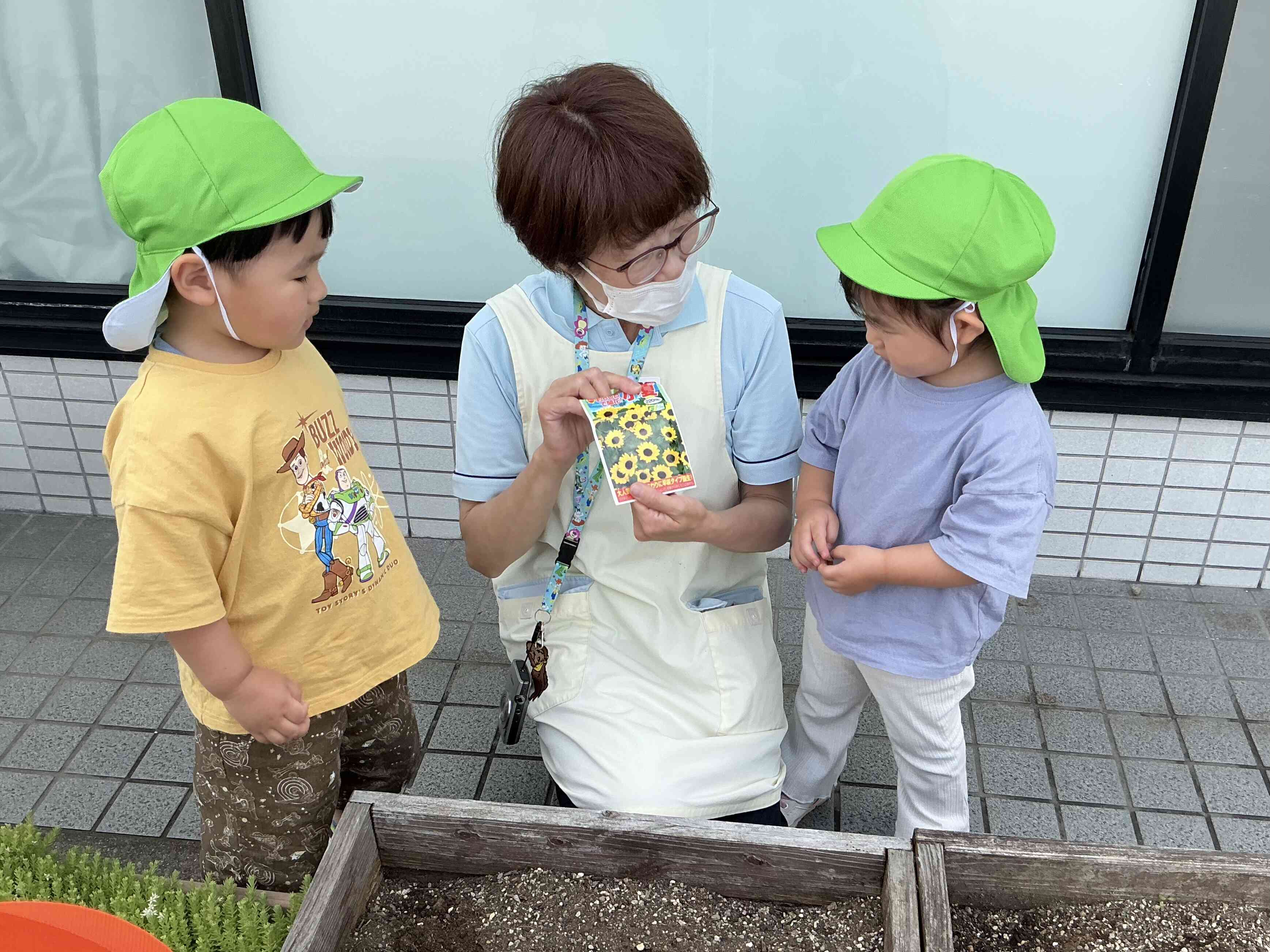 種まきしたよ‼︎