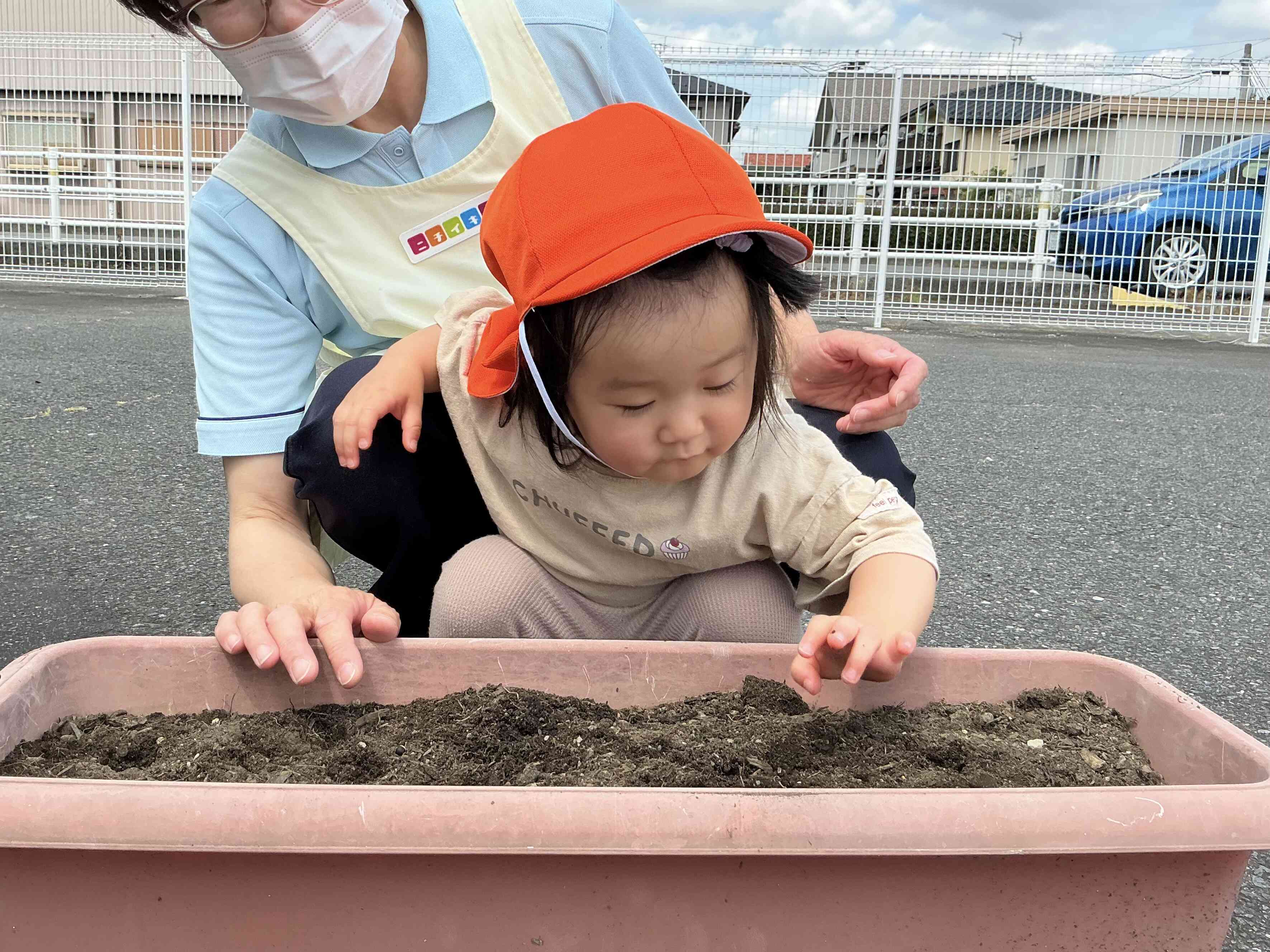 種まきしたよ‼︎｜ニチイキッズ瑞穂保育園｜ニチイキッズ