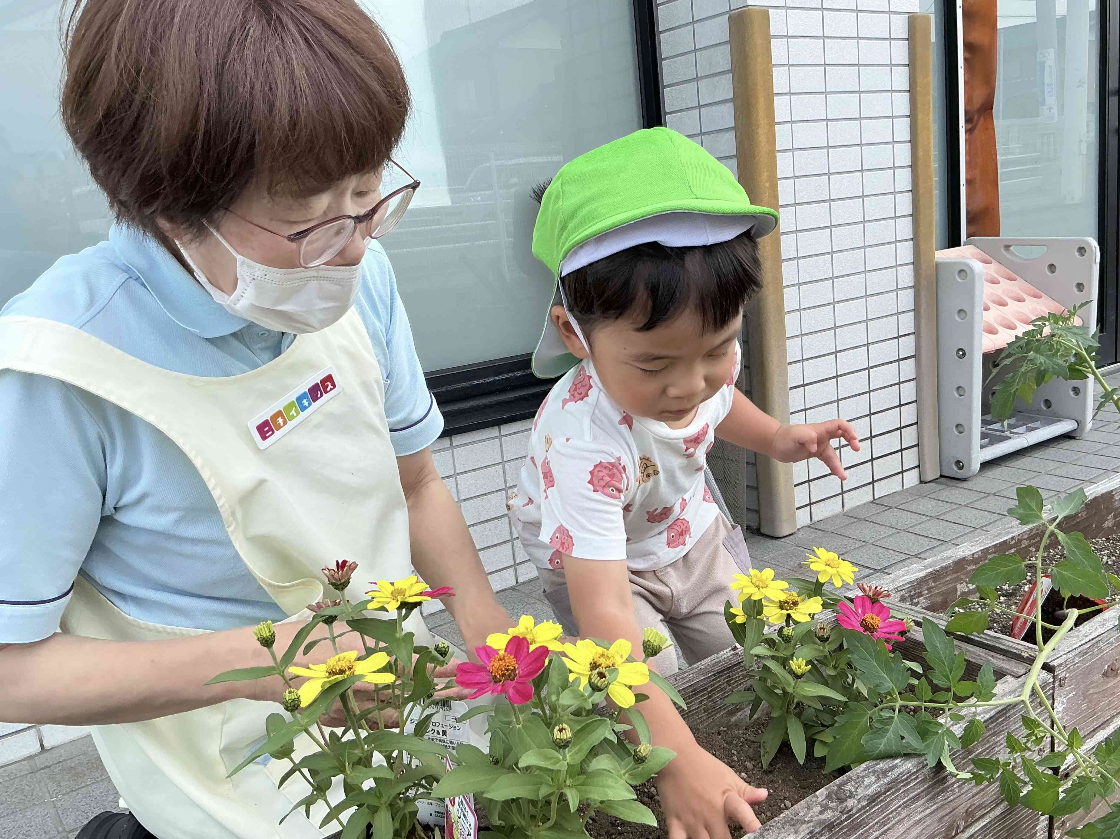 お野菜さんお花さん大きく育ってね‼︎