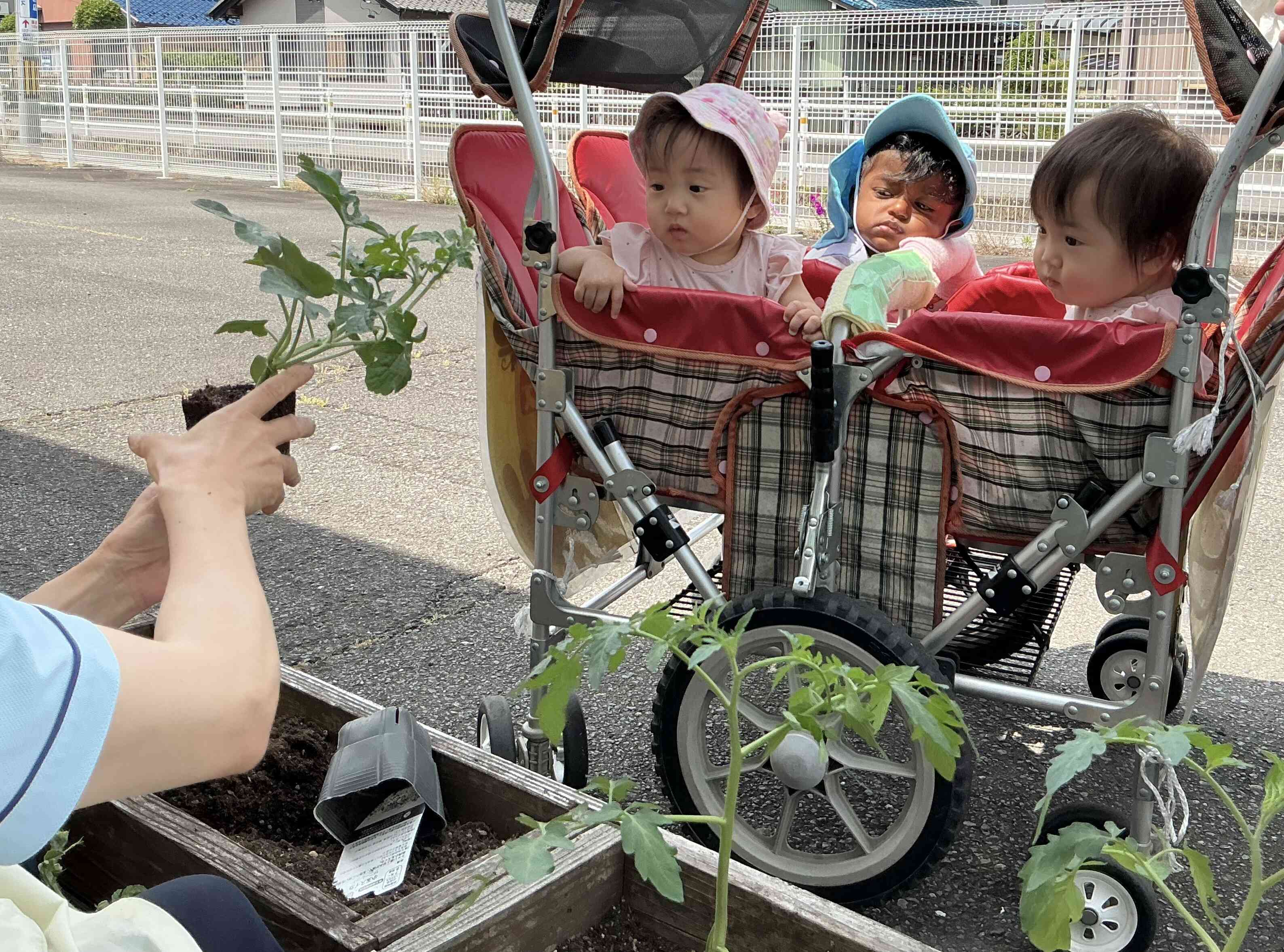 私たちもお花見たよ‼︎