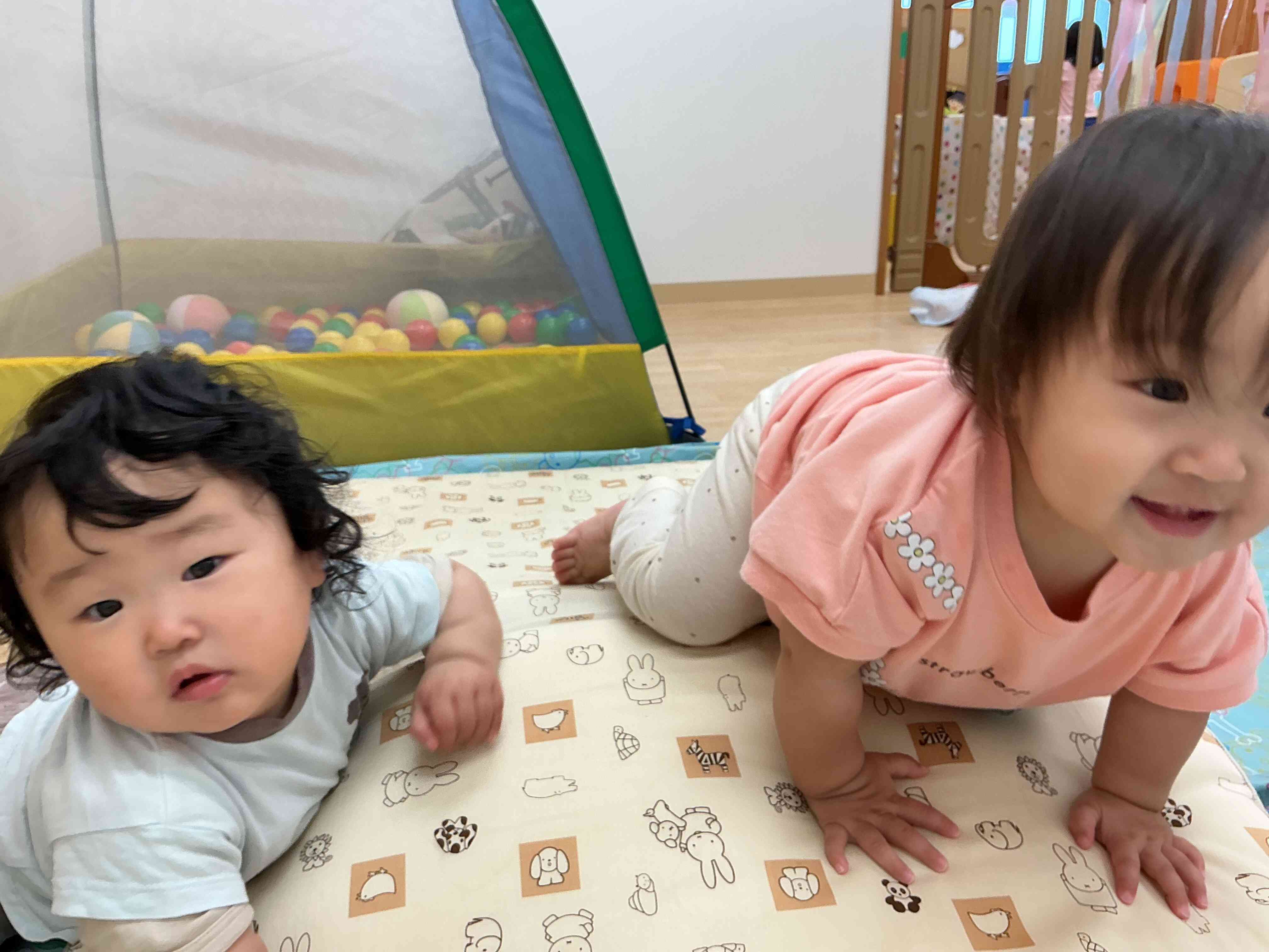 頑張って登るよ！