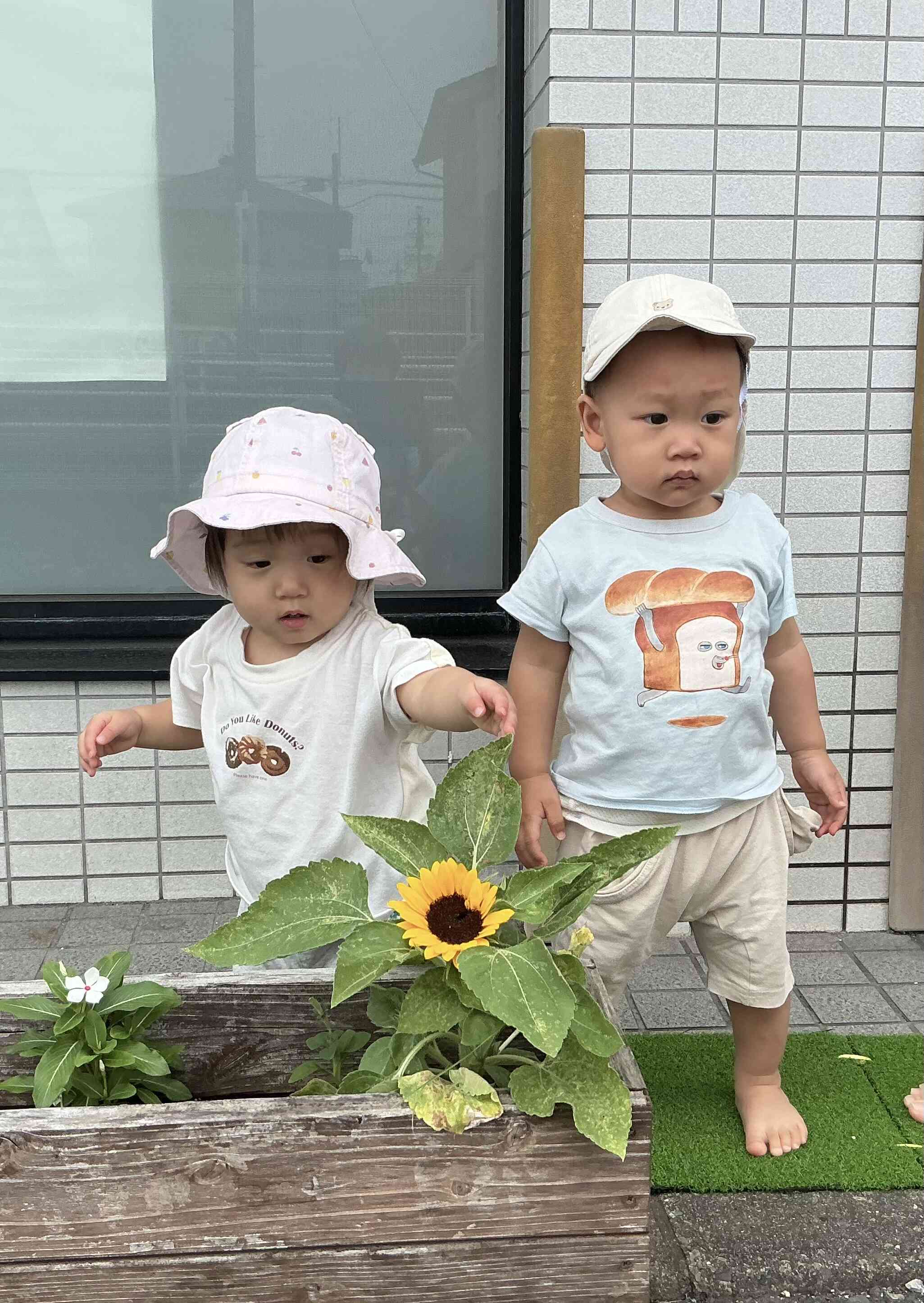 ひまわりとパシャ!